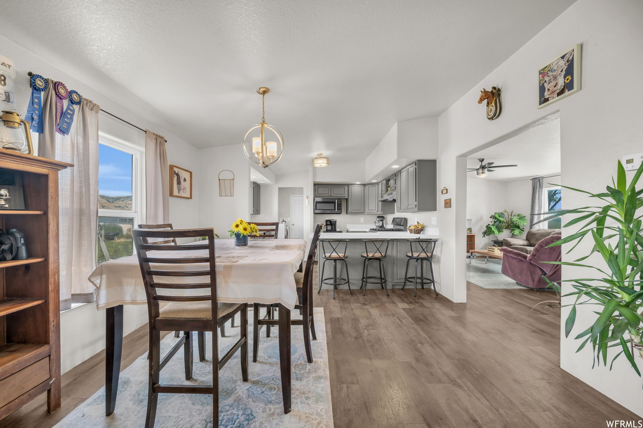 12545 N 4800 W Cornish UT 84308 529,900