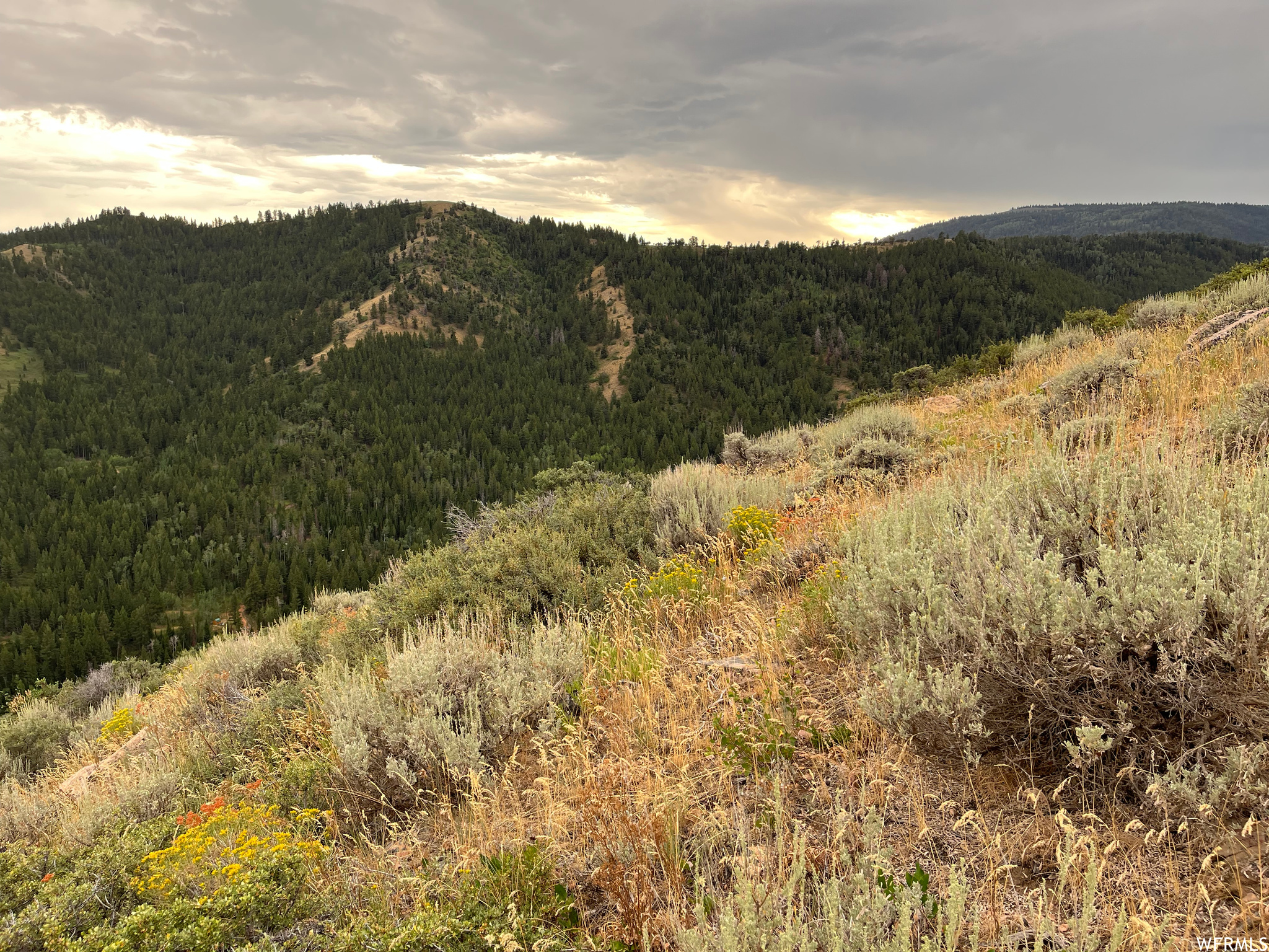 252 SKINNER CANYON, Montpelier, Idaho 83254, ,Land,For sale,SKINNER CANYON,1893379