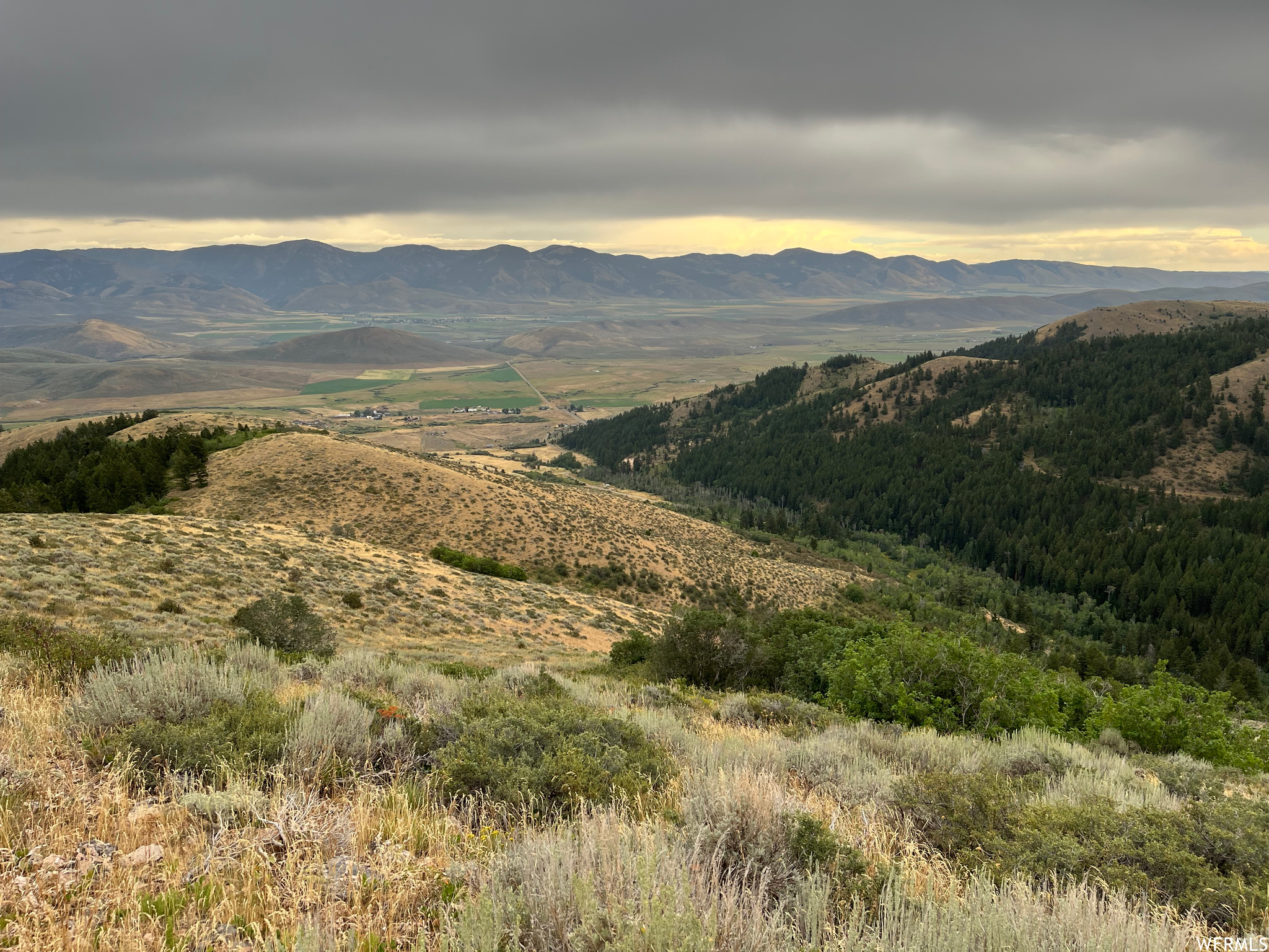 252 SKINNER CANYON, Montpelier, Idaho 83254, ,Land,For sale,SKINNER CANYON,1893379