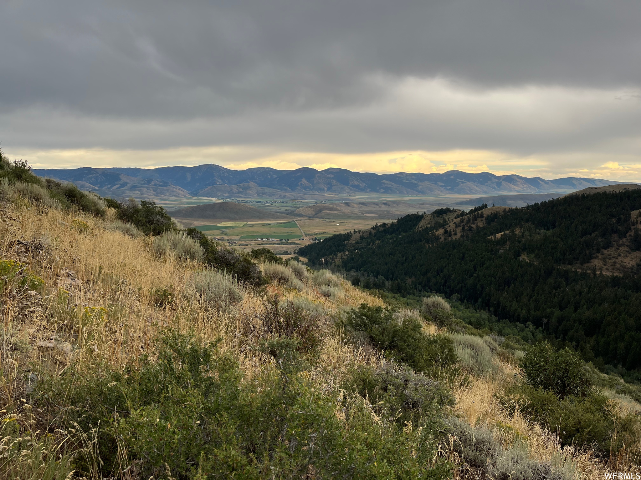 252 SKINNER CANYON, Montpelier, Idaho 83254, ,Land,For sale,SKINNER CANYON,1893379