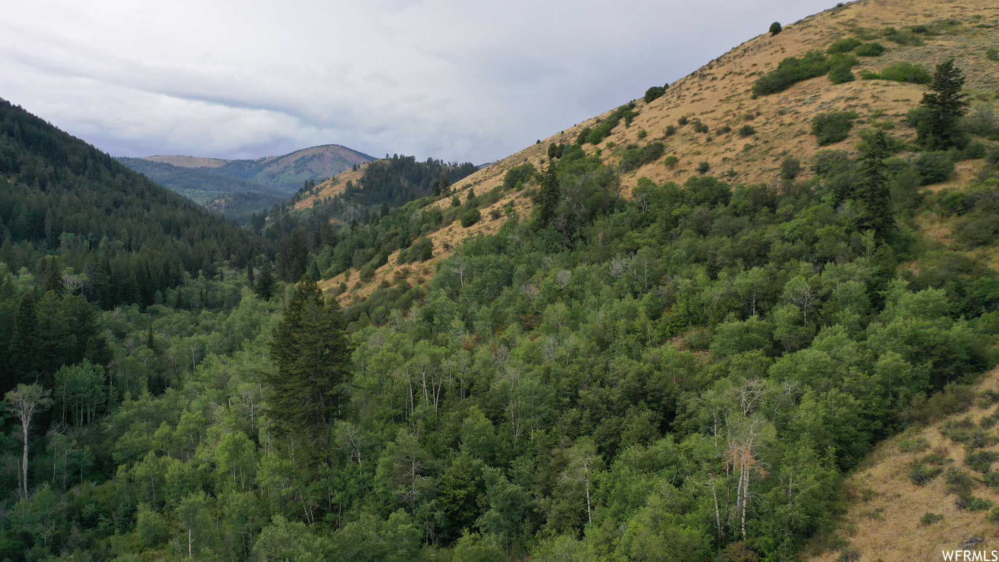 252 SKINNER CANYON, Montpelier, Idaho 83254, ,Land,For sale,SKINNER CANYON,1893379