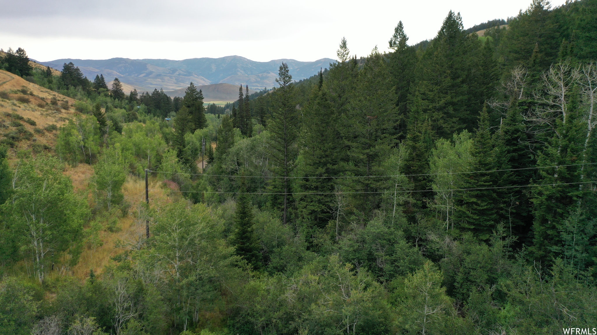 252 SKINNER CANYON, Montpelier, Idaho 83254, ,Land,For sale,SKINNER CANYON,1893379