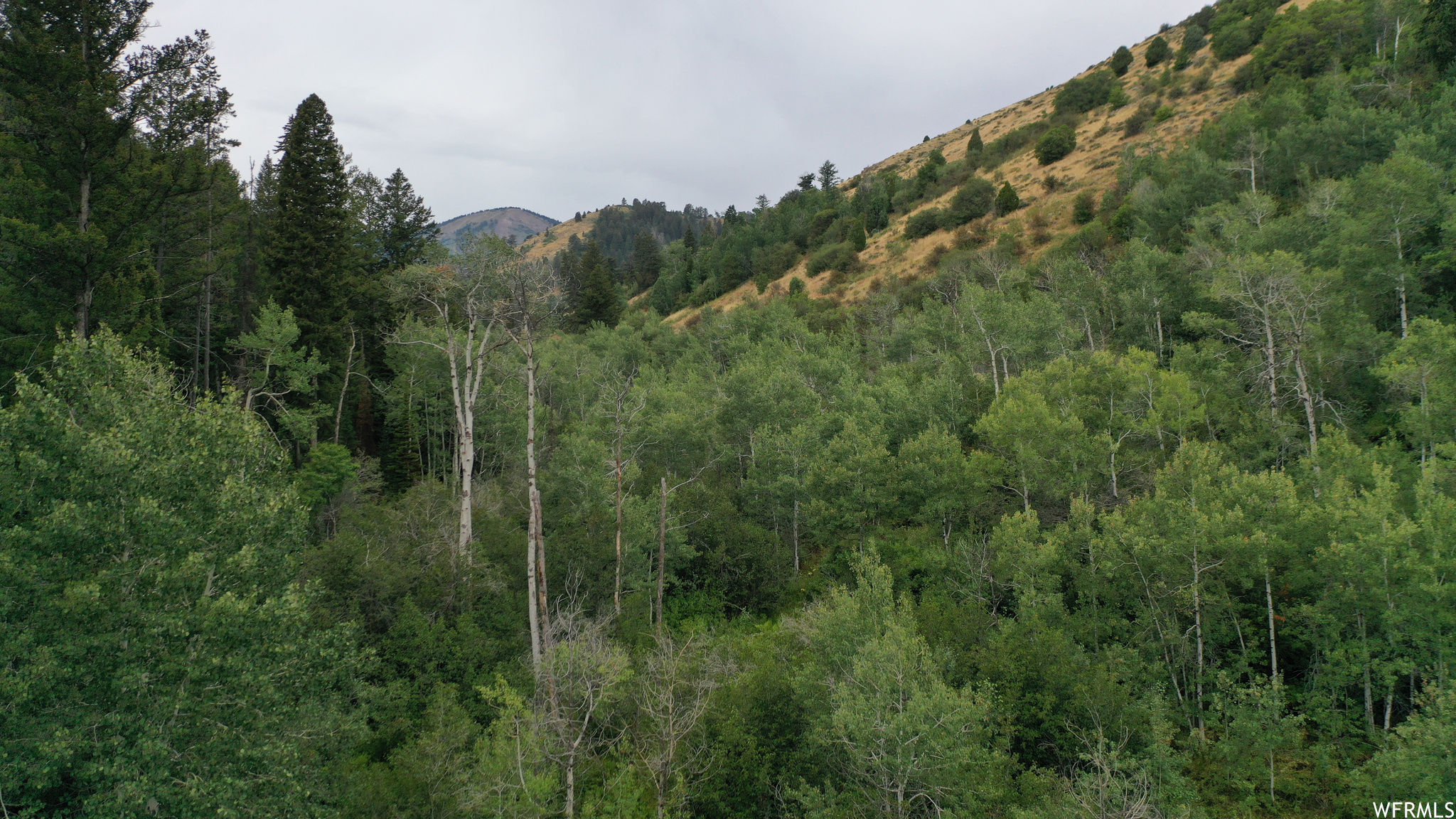 252 SKINNER CANYON, Montpelier, Idaho 83254, ,Land,For sale,SKINNER CANYON,1893379