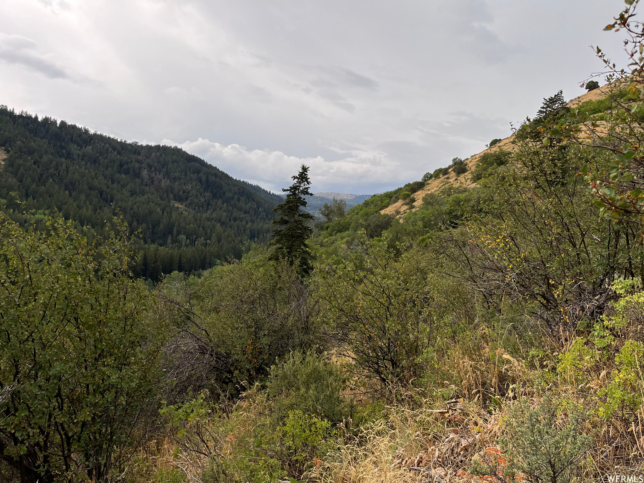 252 SKINNER CANYON, Montpelier, Idaho 83254, ,Land,For sale,SKINNER CANYON,1893379