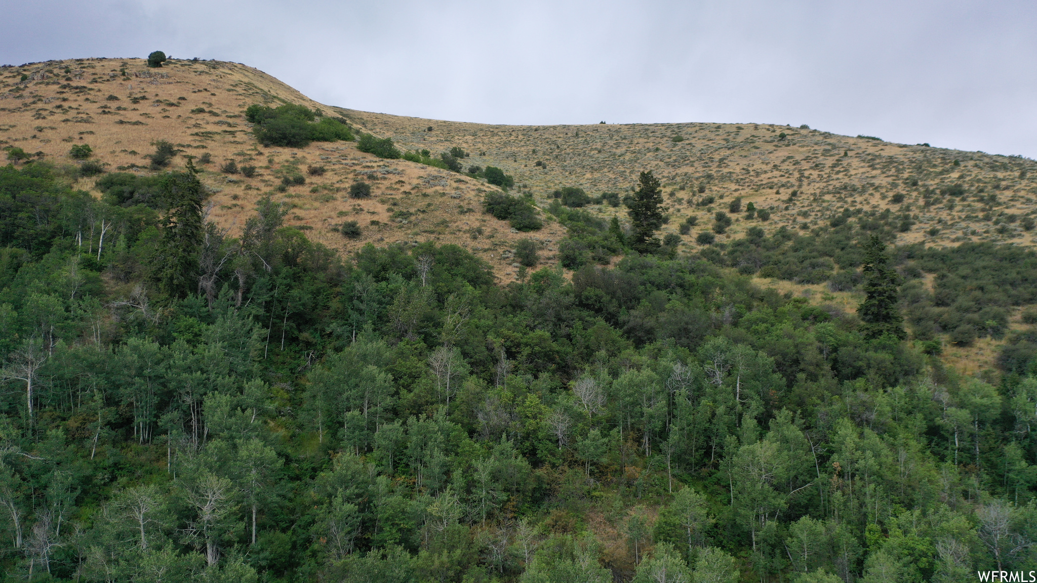 252 SKINNER CANYON, Montpelier, Idaho 83254, ,Land,For sale,SKINNER CANYON,1893379