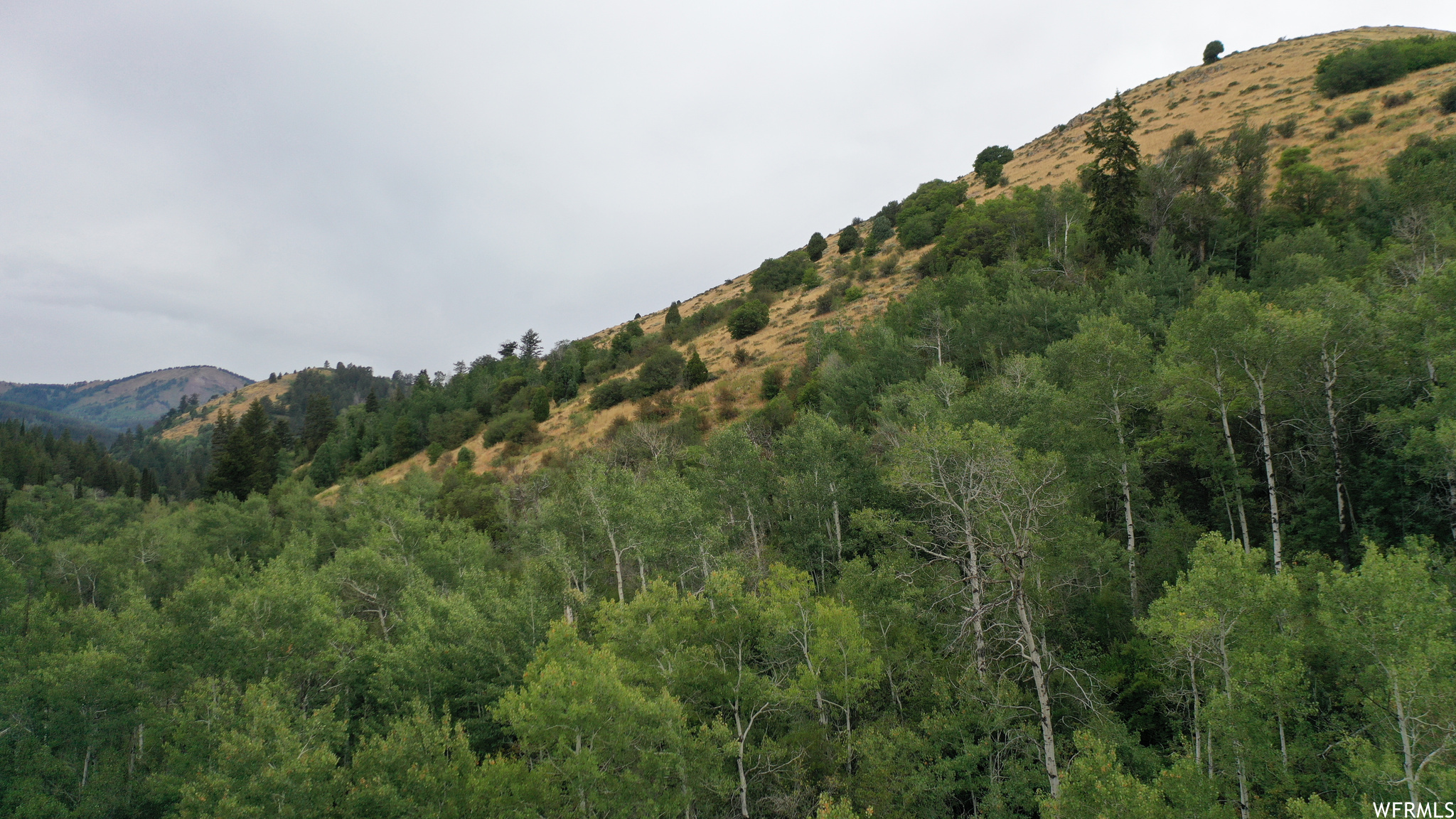 252 SKINNER CANYON, Montpelier, Idaho 83254, ,Land,For sale,SKINNER CANYON,1893379