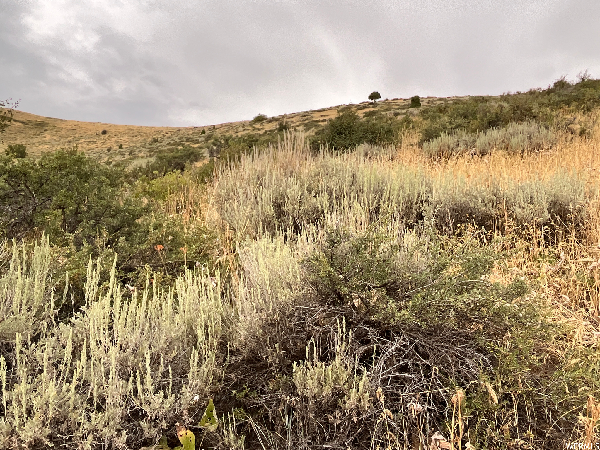 252 SKINNER CANYON, Montpelier, Idaho 83254, ,Land,For sale,SKINNER CANYON,1893379