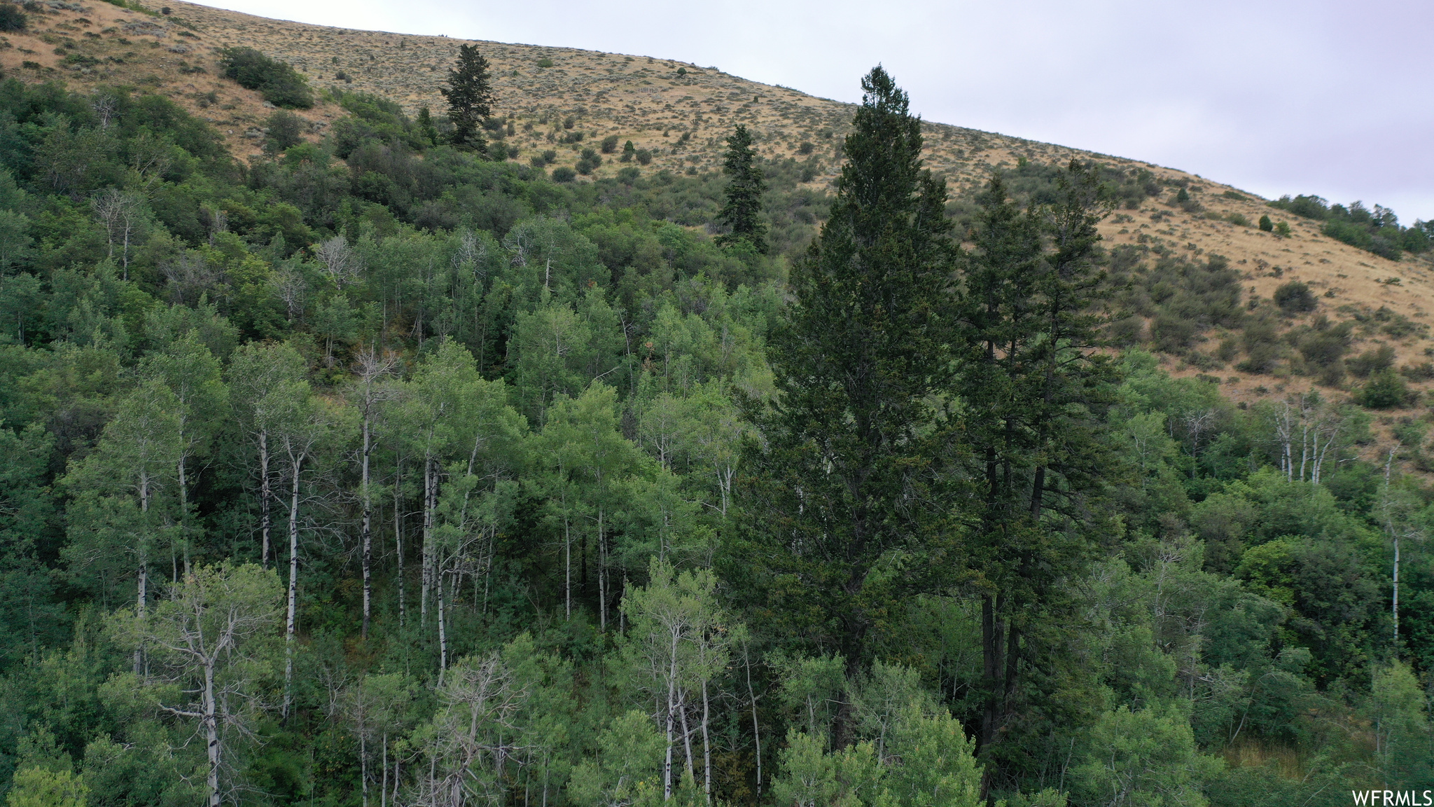 252 SKINNER CANYON, Montpelier, Idaho 83254, ,Land,For sale,SKINNER CANYON,1893379