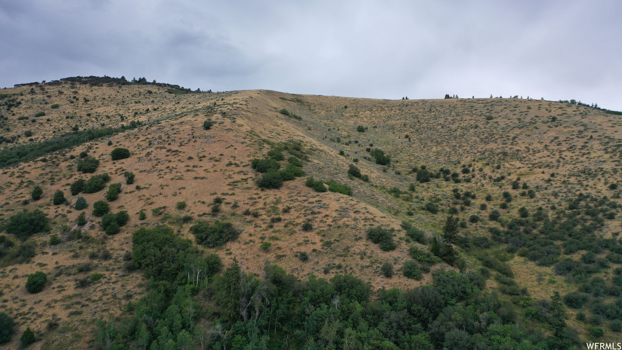 252 SKINNER CANYON, Montpelier, Idaho 83254, ,Land,For sale,SKINNER CANYON,1893379