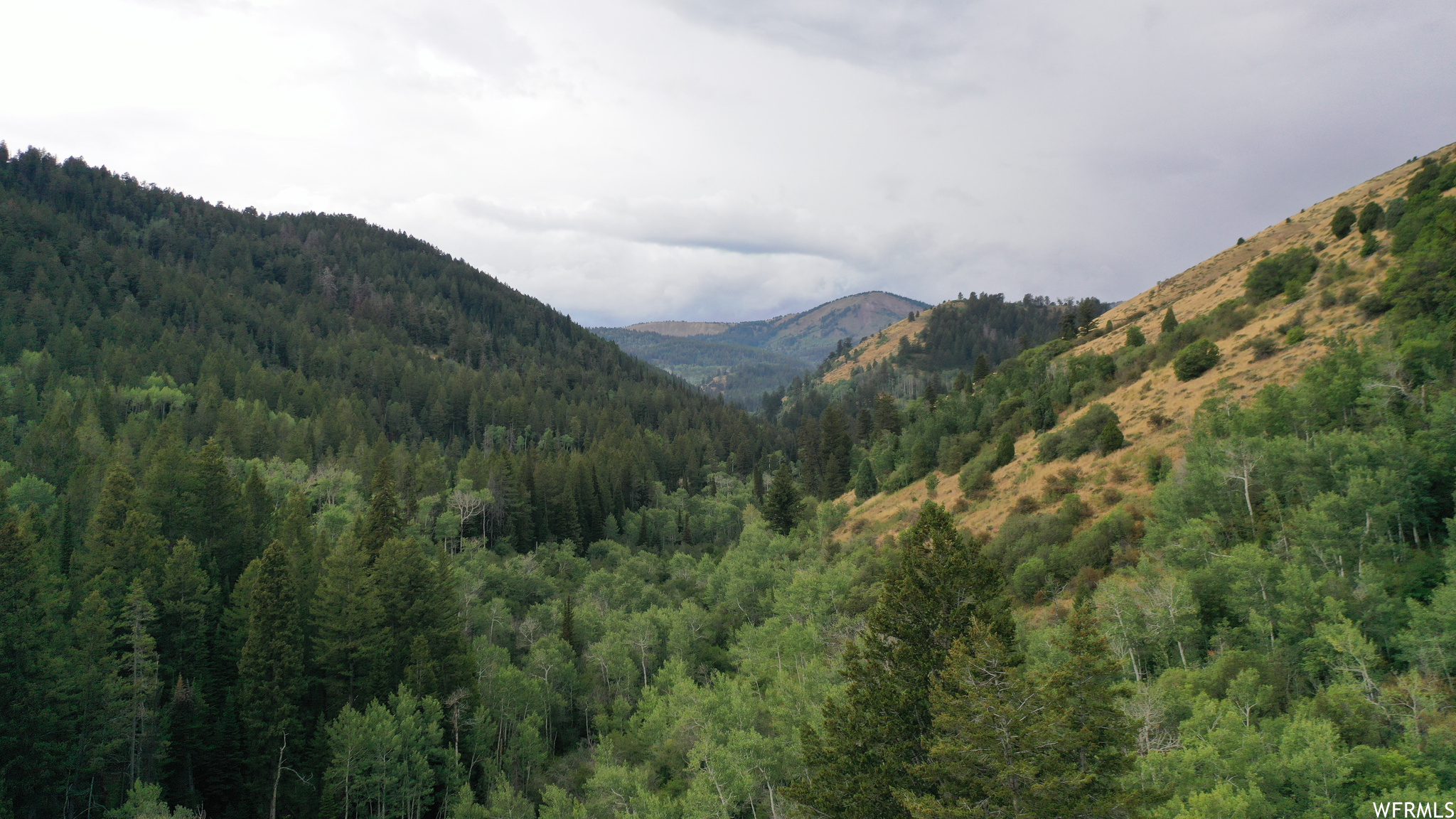 252 SKINNER CANYON, Montpelier, Idaho 83254, ,Land,For sale,SKINNER CANYON,1893379