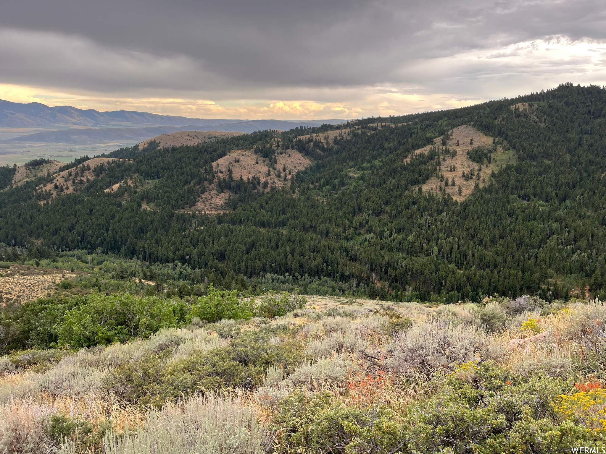 252 SKINNER CANYON, Montpelier, Idaho 83254, ,Land,For sale,SKINNER CANYON,1893379