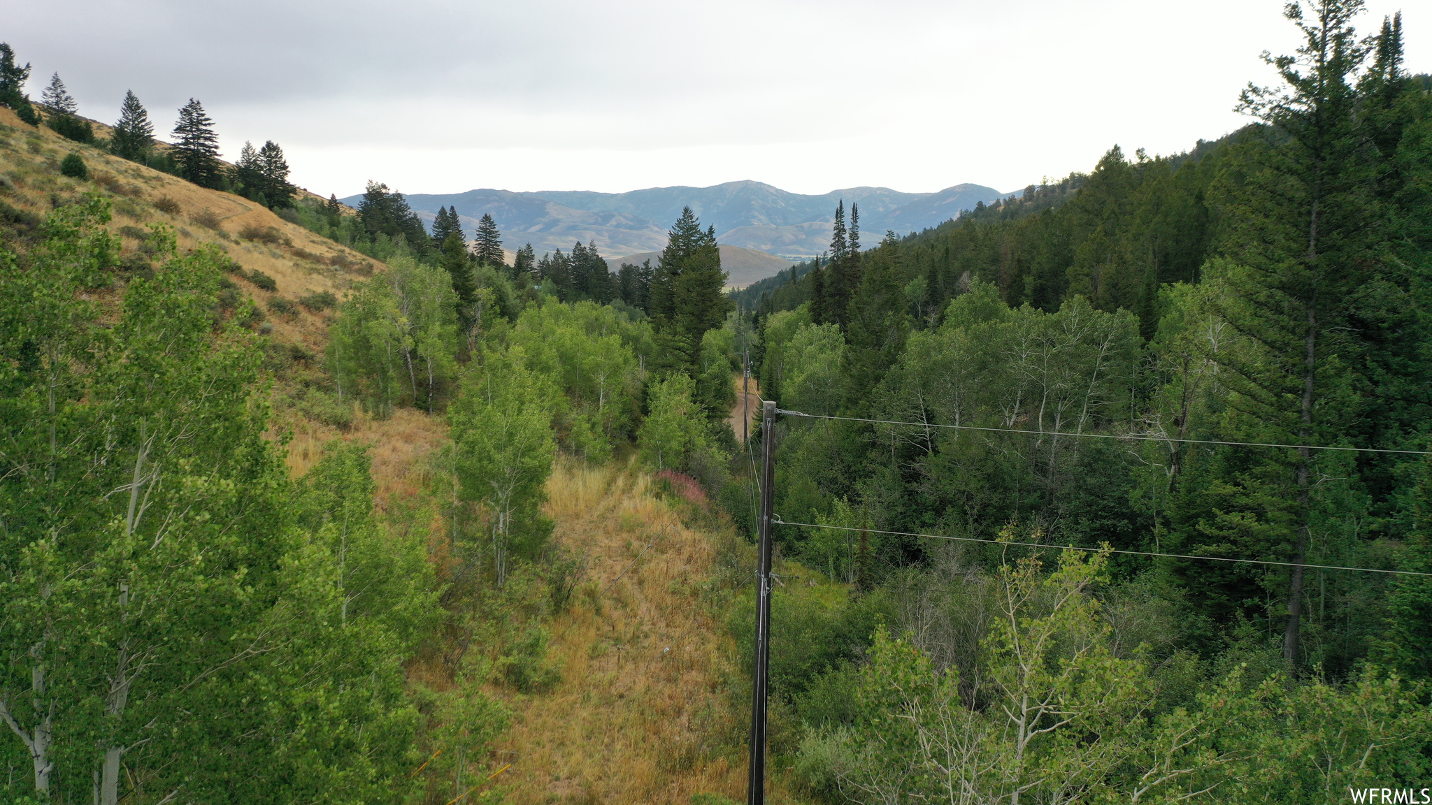 252 SKINNER CANYON, Montpelier, Idaho 83254, ,Land,For sale,SKINNER CANYON,1893379