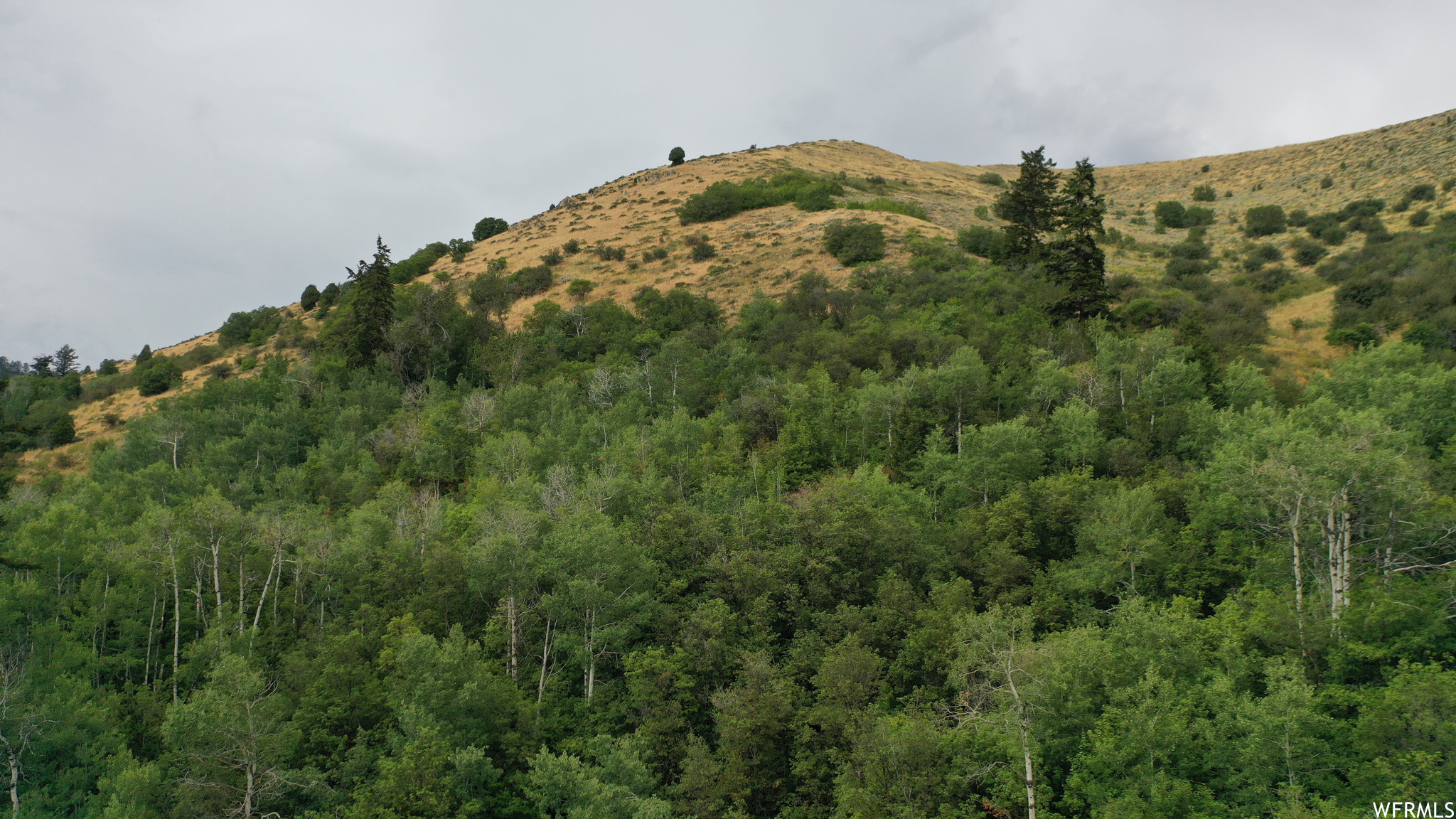 252 SKINNER CANYON, Montpelier, Idaho 83254, ,Land,For sale,SKINNER CANYON,1893379