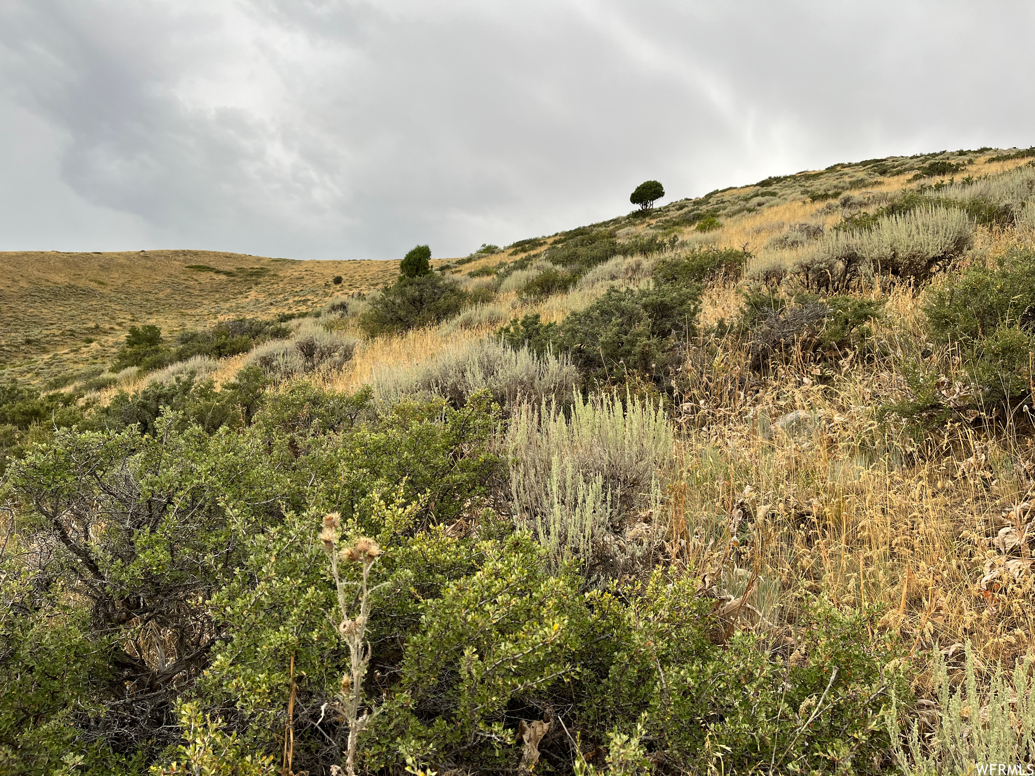 252 SKINNER CANYON, Montpelier, Idaho 83254, ,Land,For sale,SKINNER CANYON,1893379