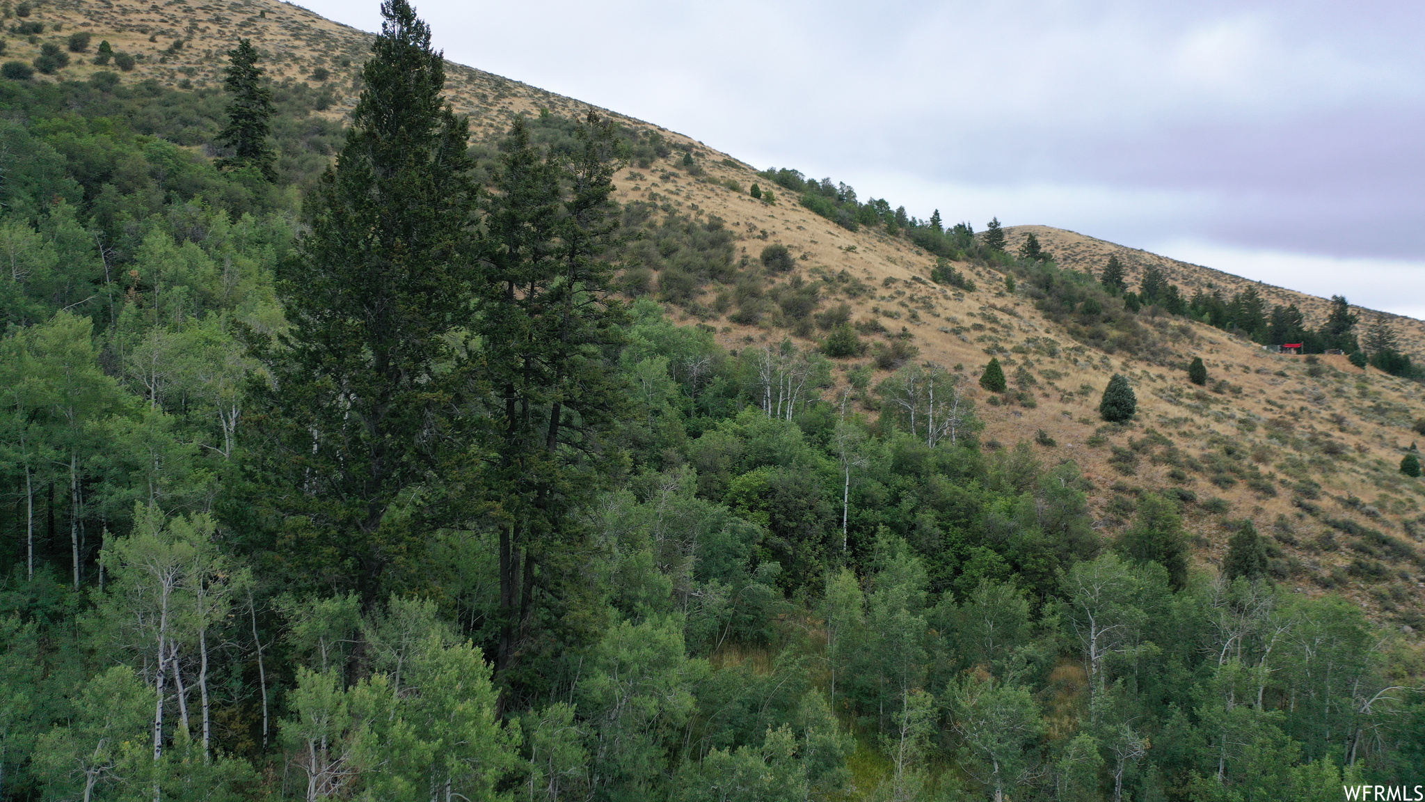 252 SKINNER CANYON, Montpelier, Idaho 83254, ,Land,For sale,SKINNER CANYON,1893379