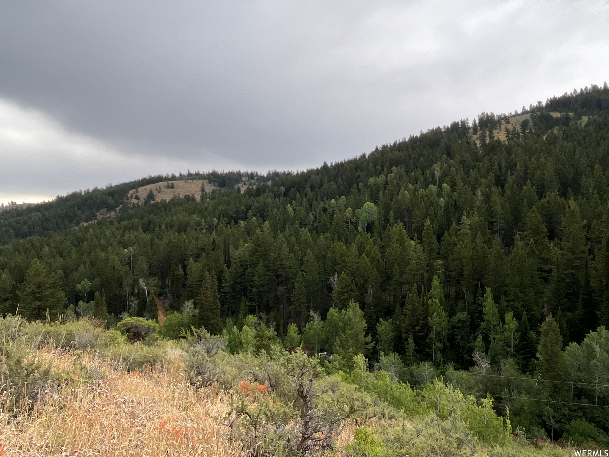 252 SKINNER CANYON, Montpelier, Idaho 83254, ,Land,For sale,SKINNER CANYON,1893379