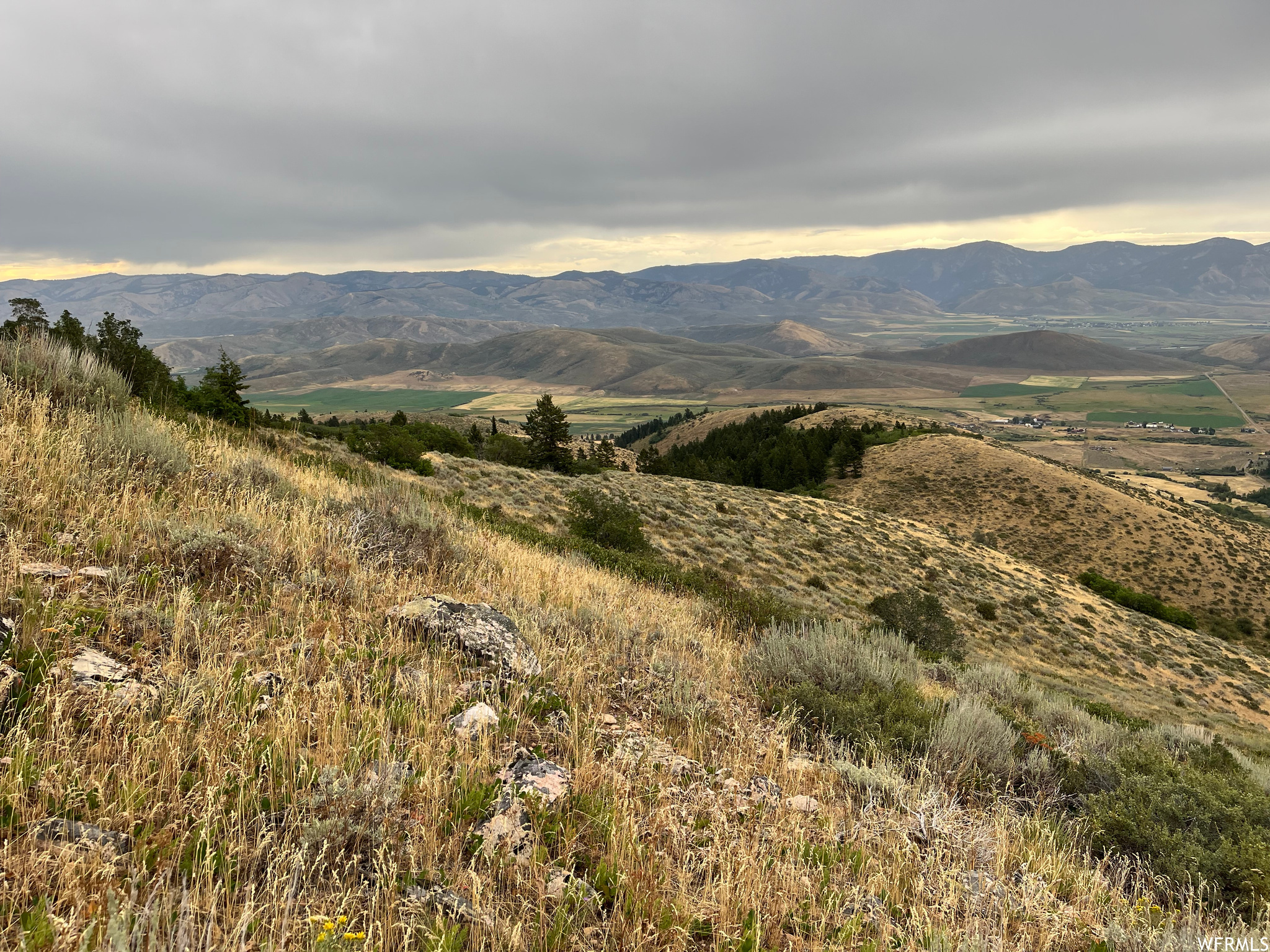 252 SKINNER CANYON, Montpelier, Idaho 83254, ,Land,For sale,SKINNER CANYON,1893379