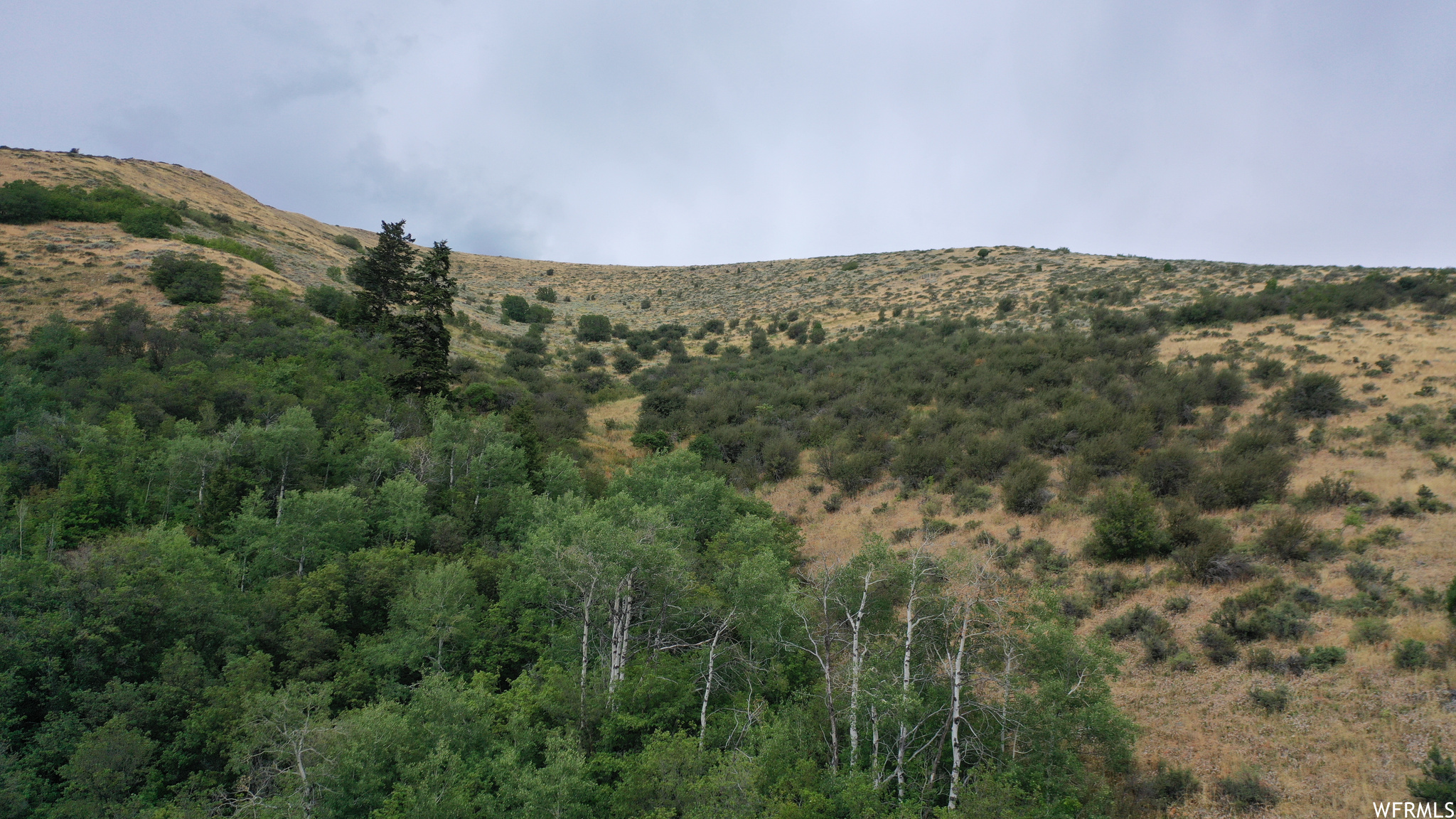 252 SKINNER CANYON, Montpelier, Idaho 83254, ,Land,For sale,SKINNER CANYON,1893379