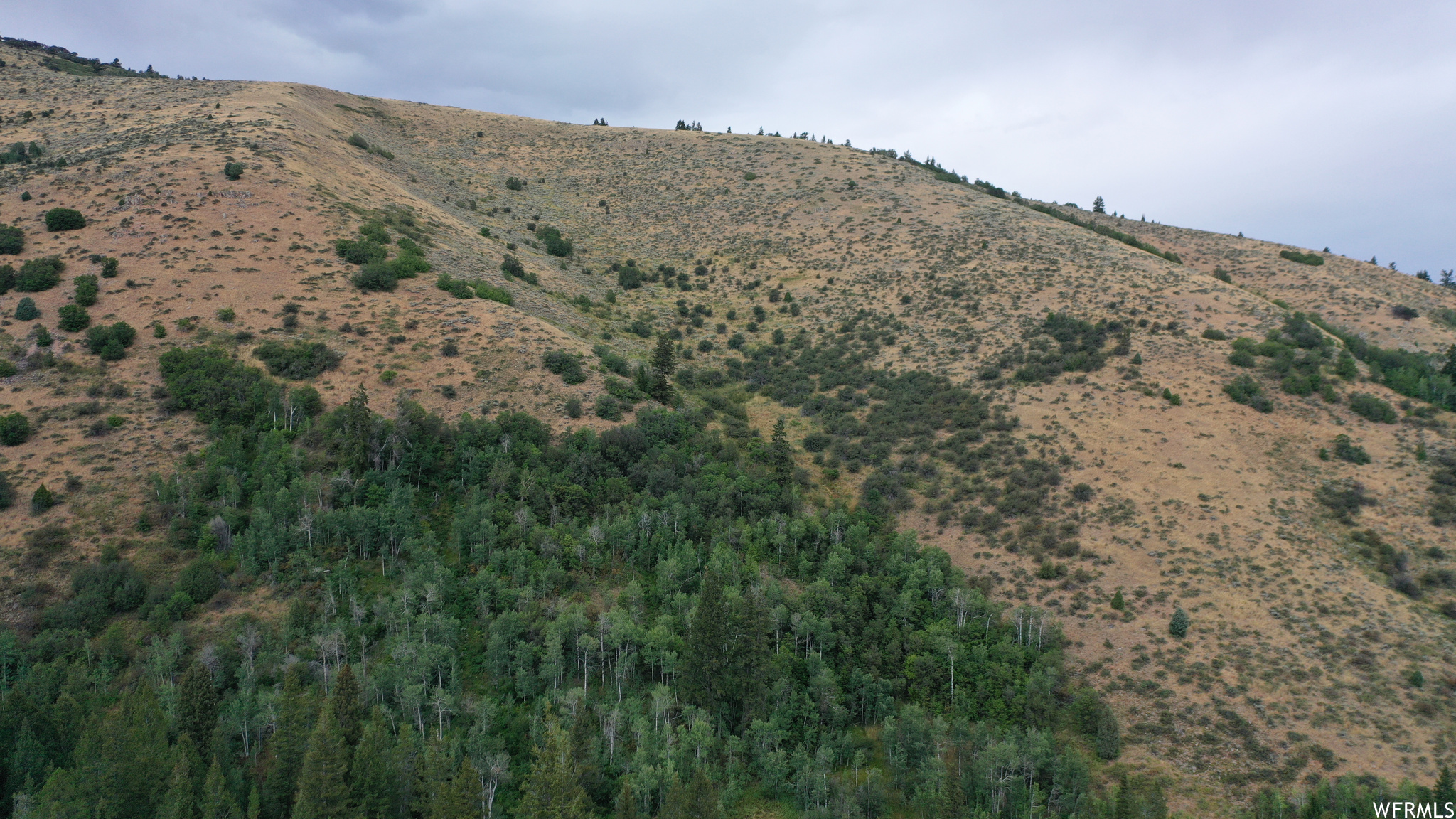 252 SKINNER CANYON, Montpelier, Idaho 83254, ,Land,For sale,SKINNER CANYON,1893379