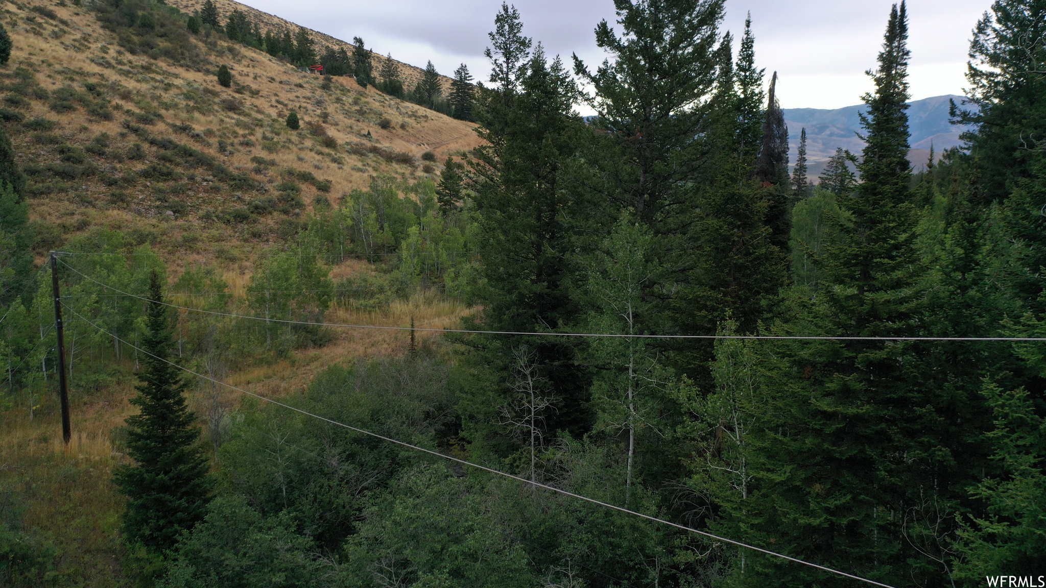 252 SKINNER CANYON, Montpelier, Idaho 83254, ,Land,For sale,SKINNER CANYON,1893379