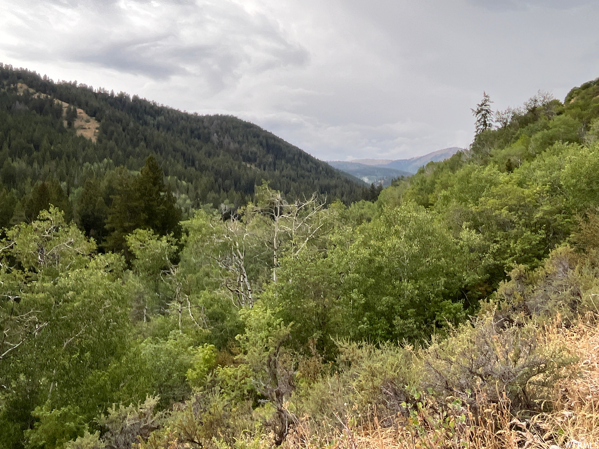 252 SKINNER CANYON, Montpelier, Idaho 83254, ,Land,For sale,SKINNER CANYON,1893379