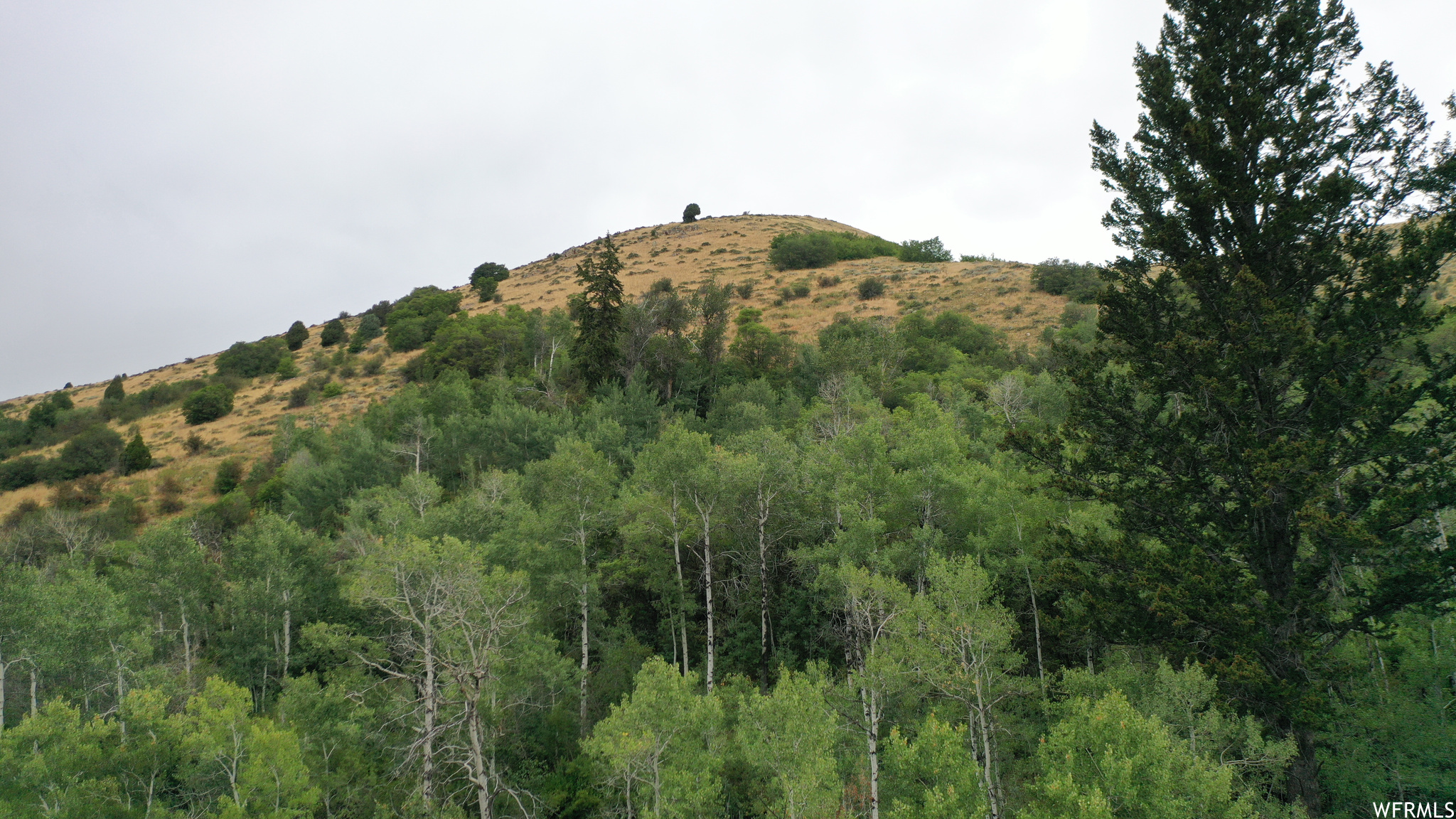 252 SKINNER CANYON, Montpelier, Idaho 83254, ,Land,For sale,SKINNER CANYON,1893379