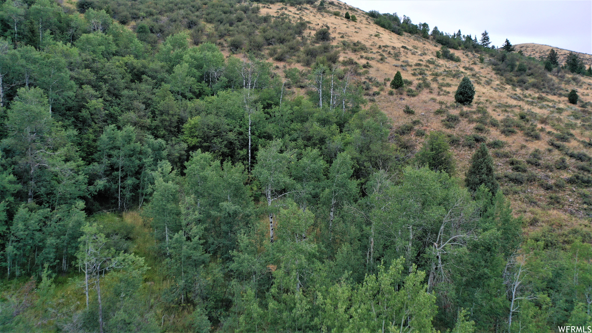 252 SKINNER CANYON, Montpelier, Idaho 83254, ,Land,For sale,SKINNER CANYON,1893379