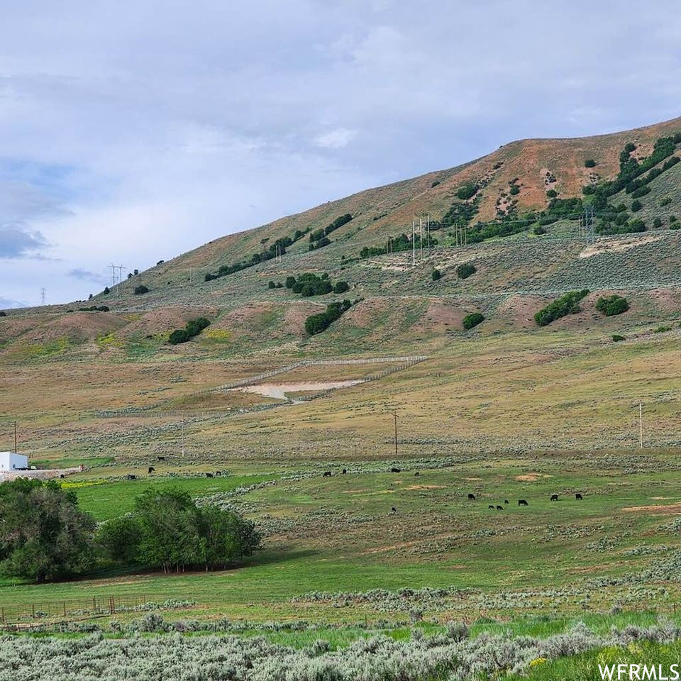 Collinston UT 84306 228,000