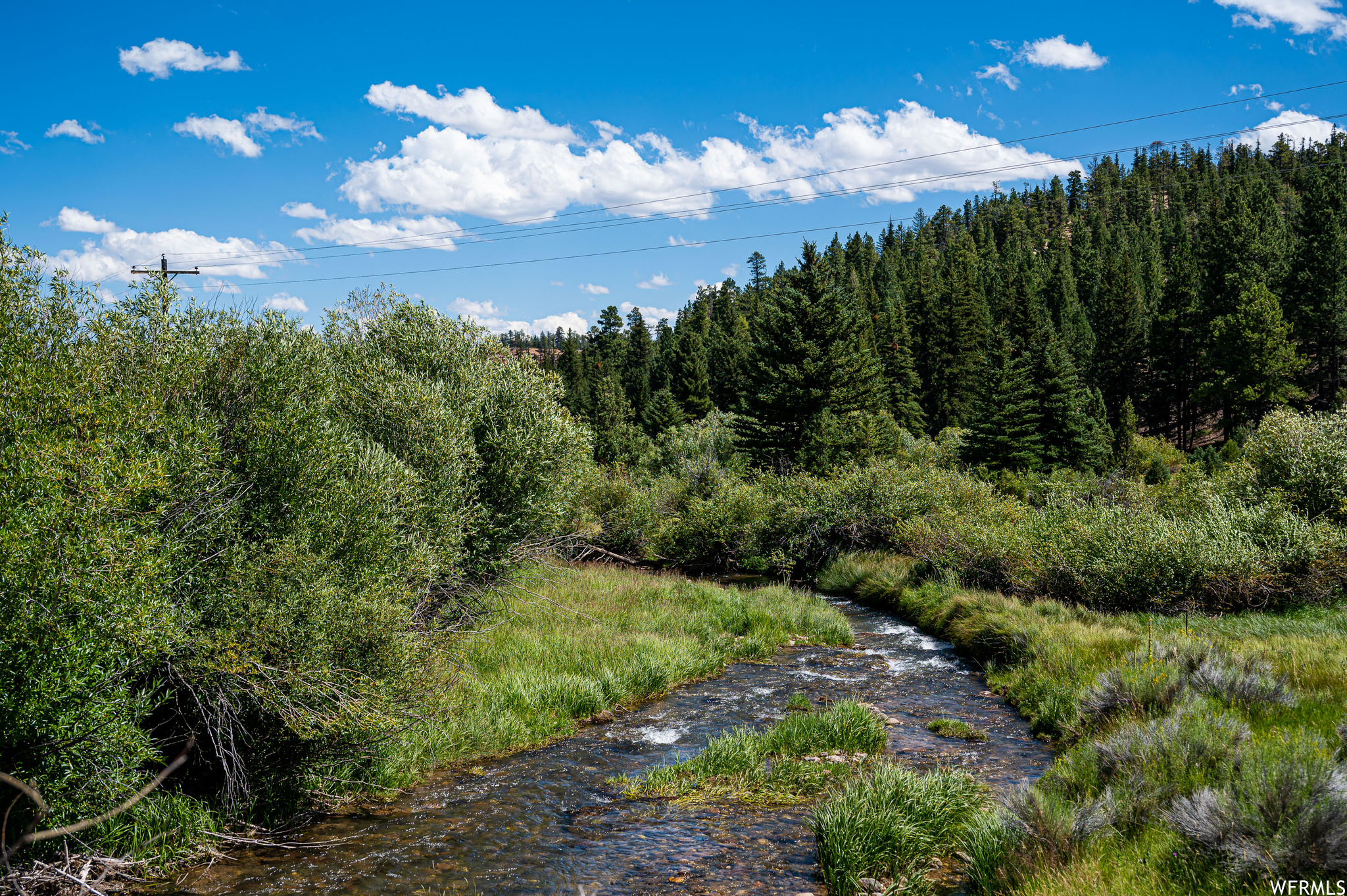 1009 E PONDEROSA #45, Hatch, Utah 84735, ,Land,For sale,PONDEROSA,1895703