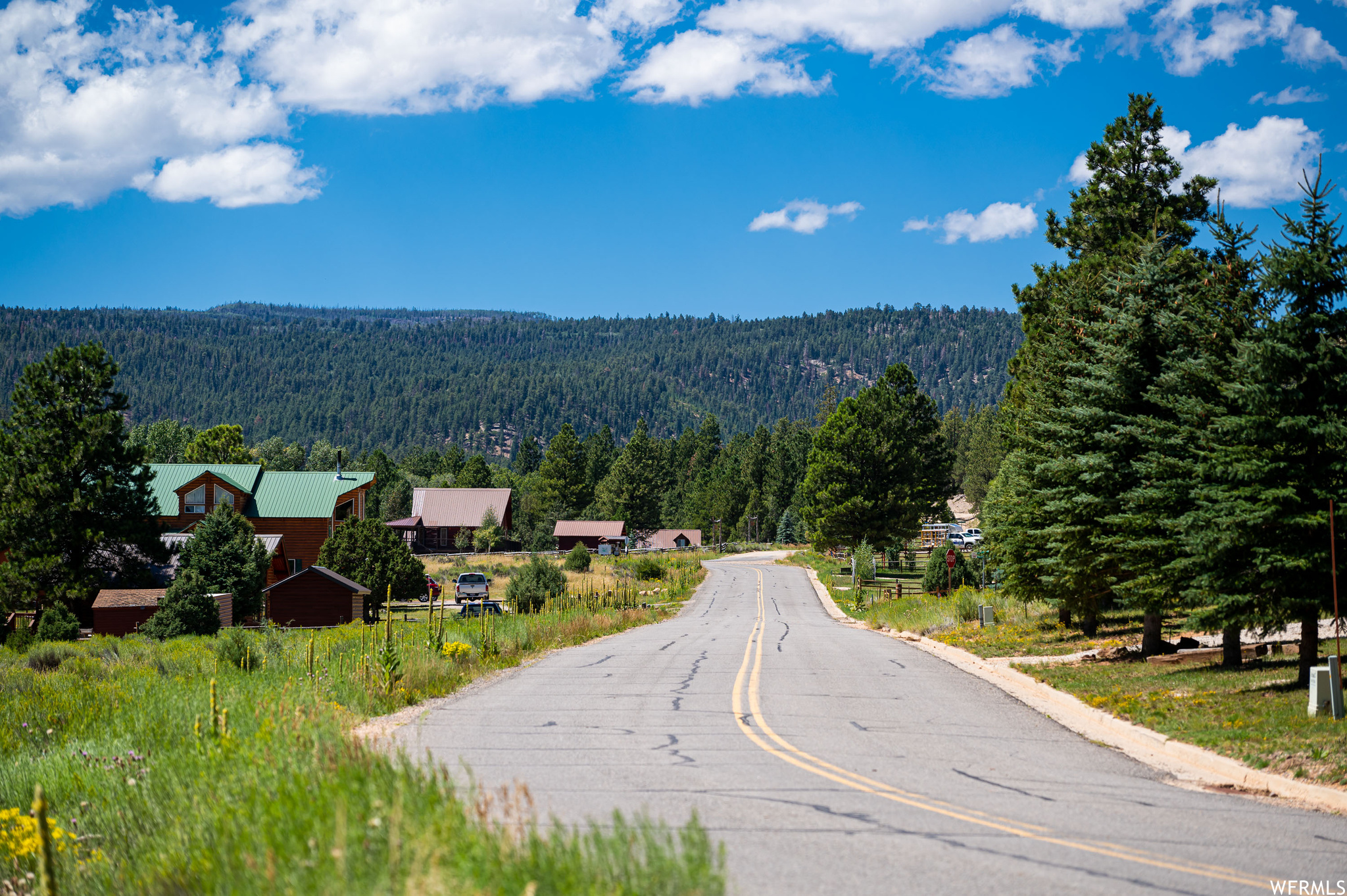 1009 E PONDEROSA #45, Hatch, Utah 84735, ,Land,For sale,PONDEROSA,1895703