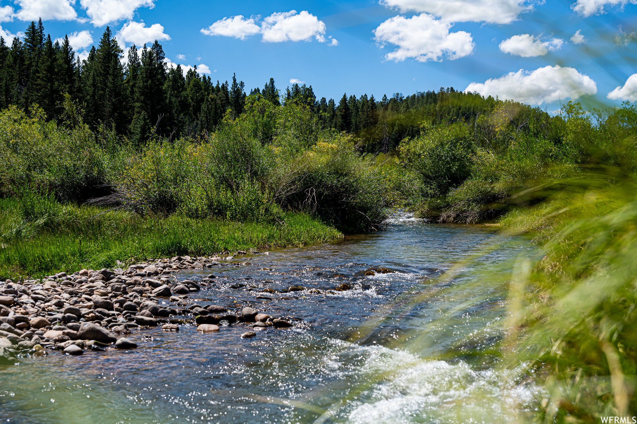 1009 E PONDEROSA #45, Hatch, Utah 84735, ,Land,For sale,PONDEROSA,1895703