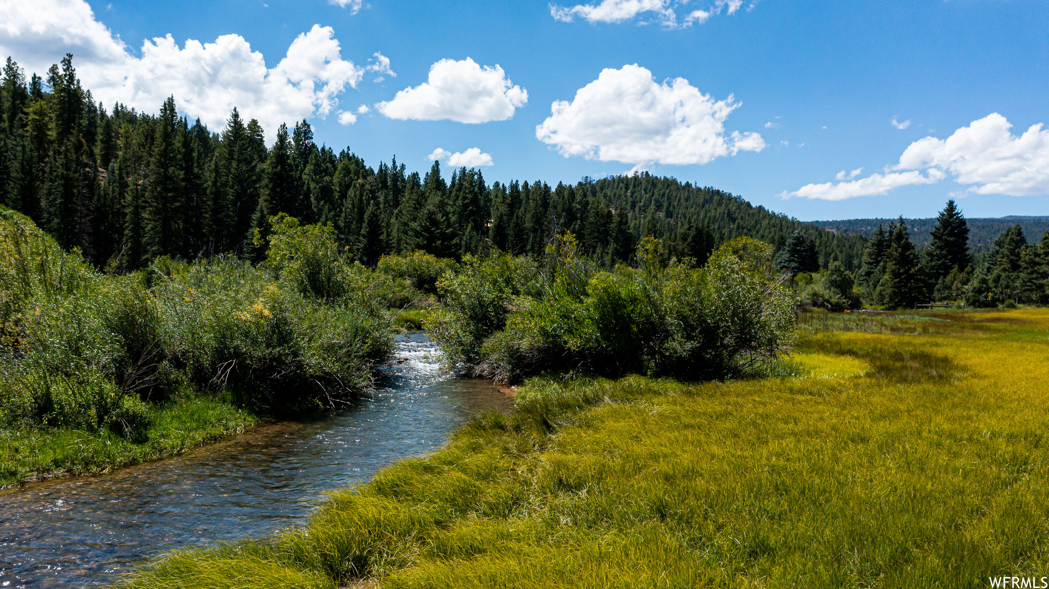 1009 E PONDEROSA #45, Hatch, Utah 84735, ,Land,For sale,PONDEROSA,1895703