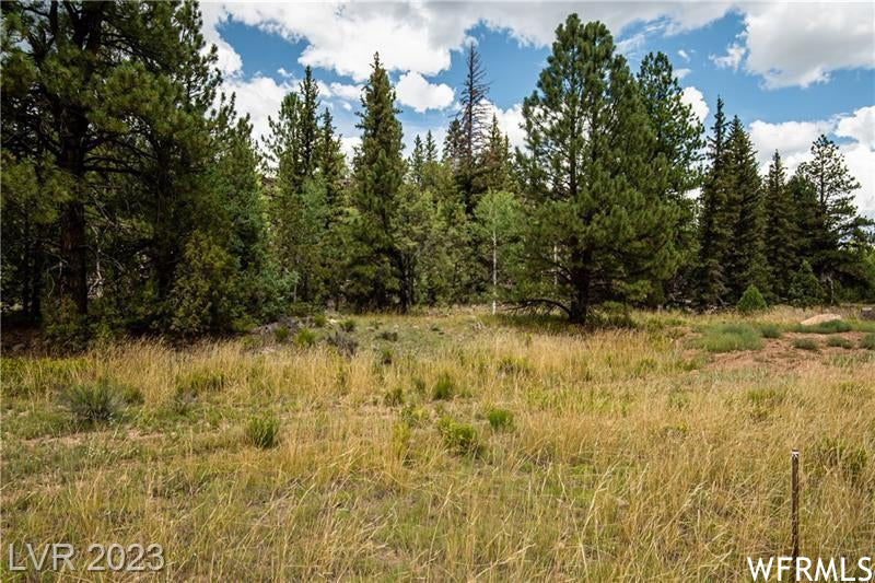 1009 E PONDEROSA #45, Hatch, Utah 84735, ,Land,For sale,PONDEROSA,1895703