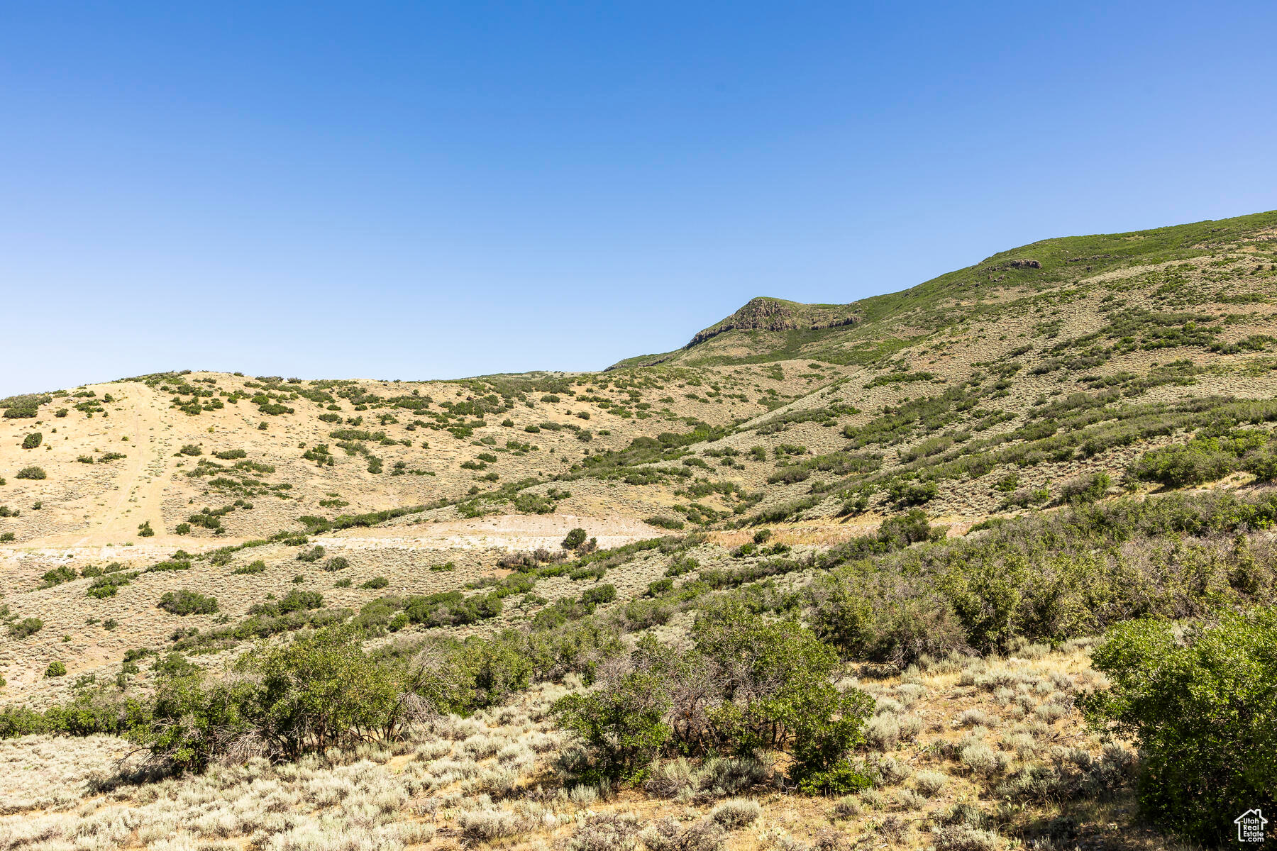 2005 N LOOKOUT PEAK, Heber City, Utah 84032, 5 Bedrooms Bedrooms, 20 Rooms Rooms,5 BathroomsBathrooms,Residential,For sale,LOOKOUT PEAK,1896466