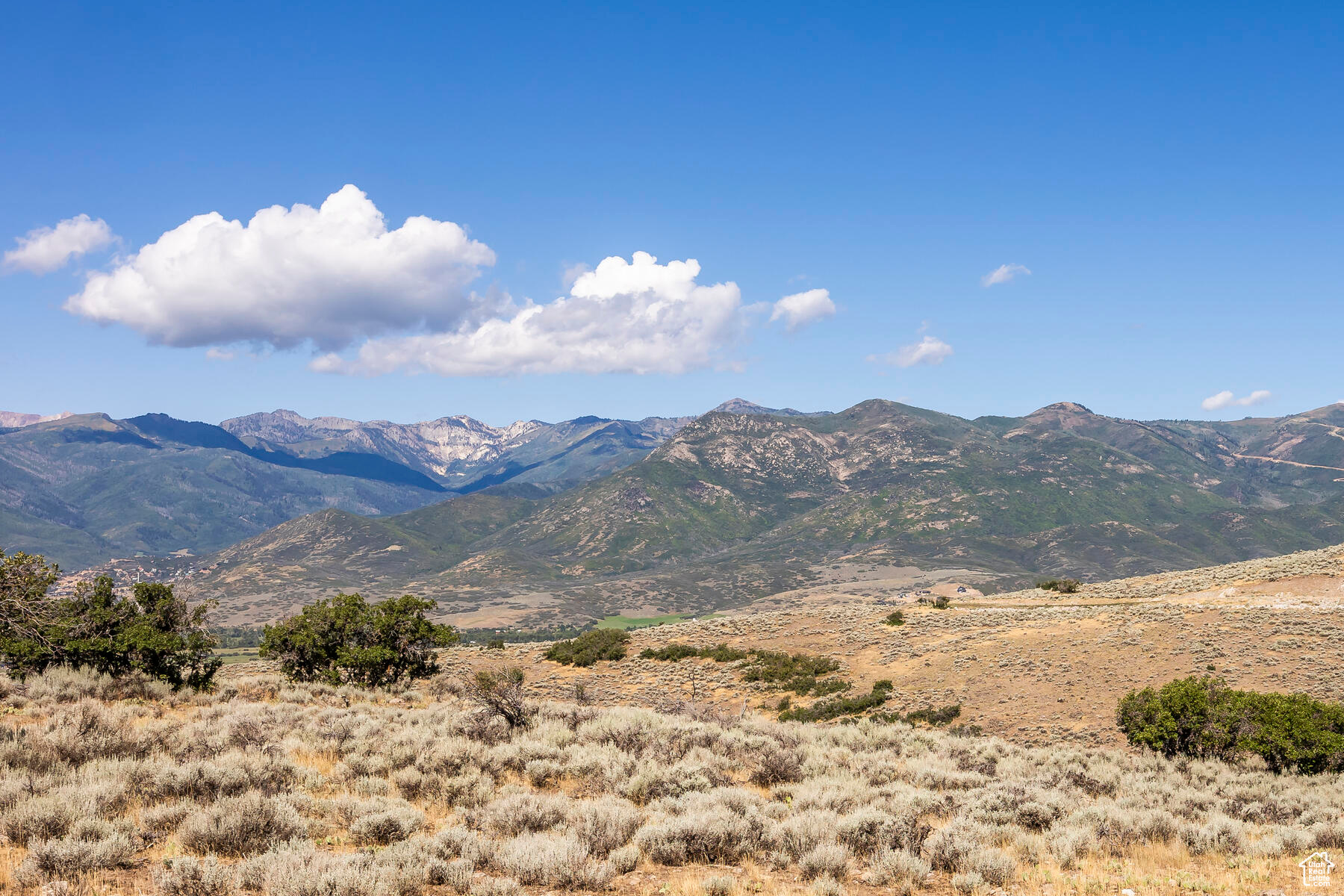 2005 N LOOKOUT PEAK, Heber City, Utah 84032, 5 Bedrooms Bedrooms, 20 Rooms Rooms,5 BathroomsBathrooms,Residential,For sale,LOOKOUT PEAK,1896466