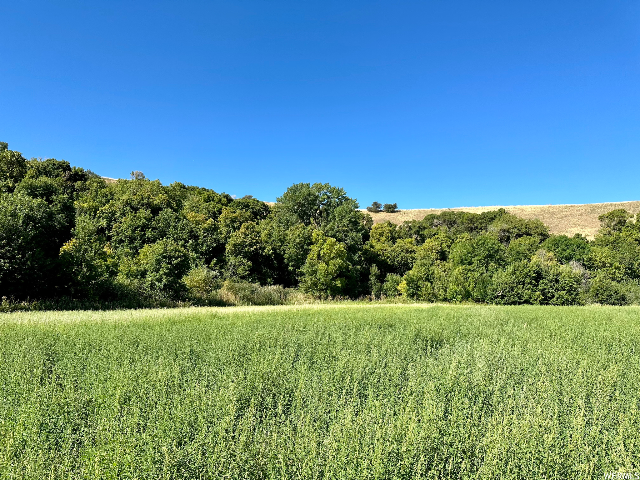 View of part of the acreage