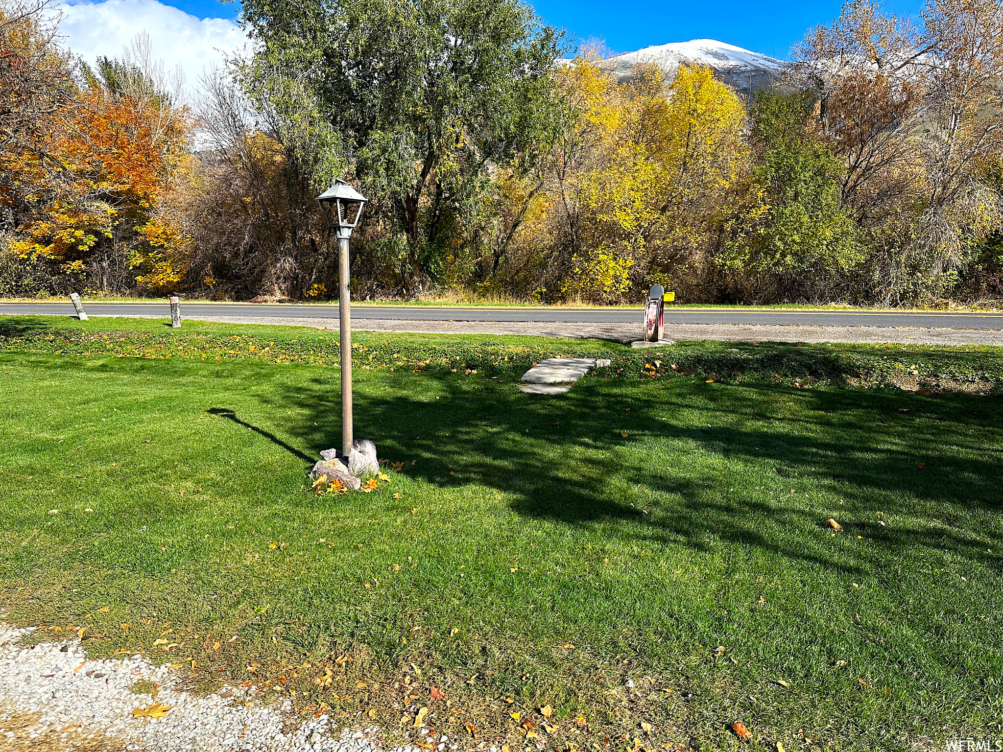 View front yard with lamppost along road