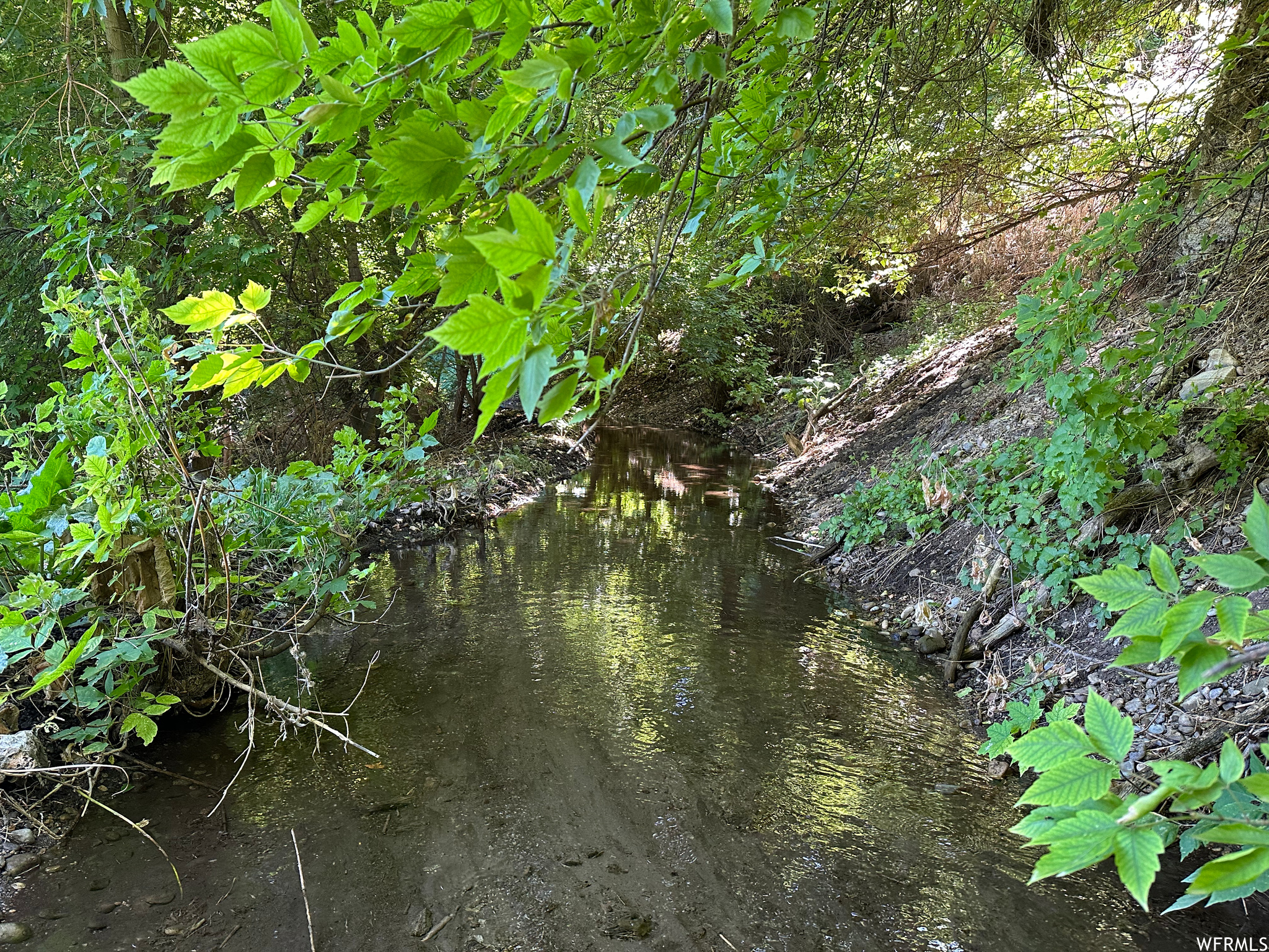 View of spring which flows year round