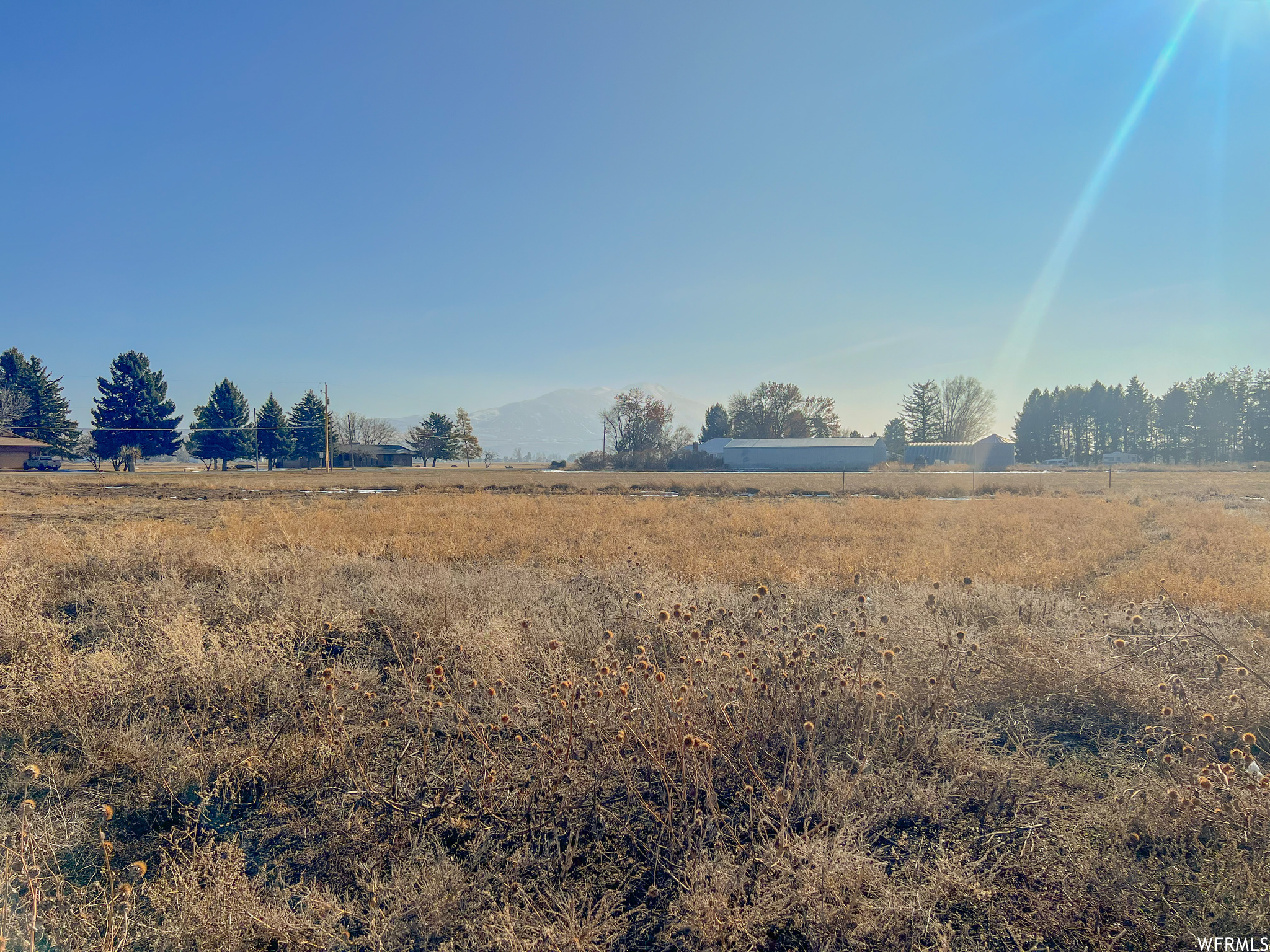 View of local wilderness with a rural view