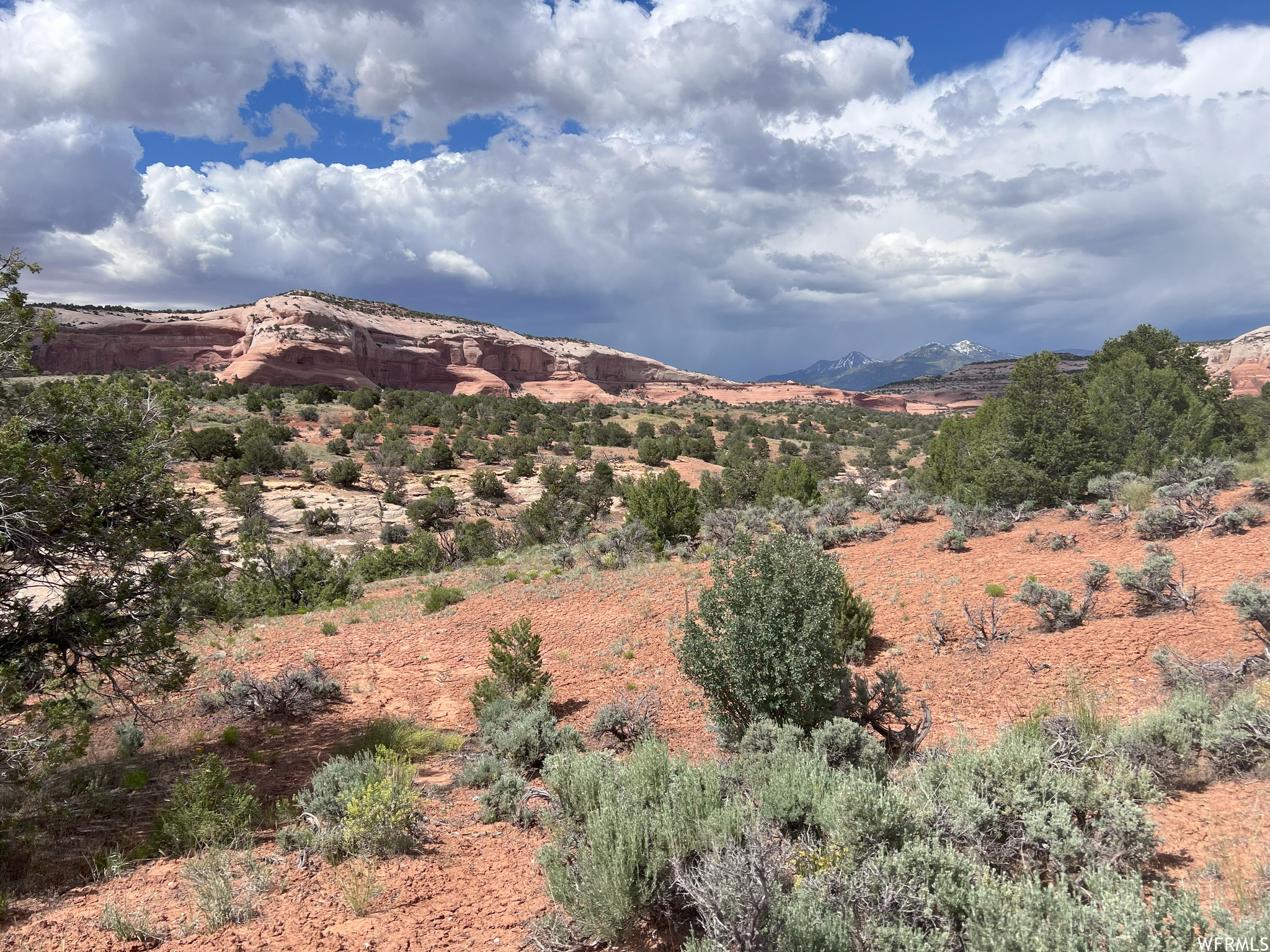 49 W RYAN #2, Moab, Utah 84532, ,Land,For sale,RYAN,1897370