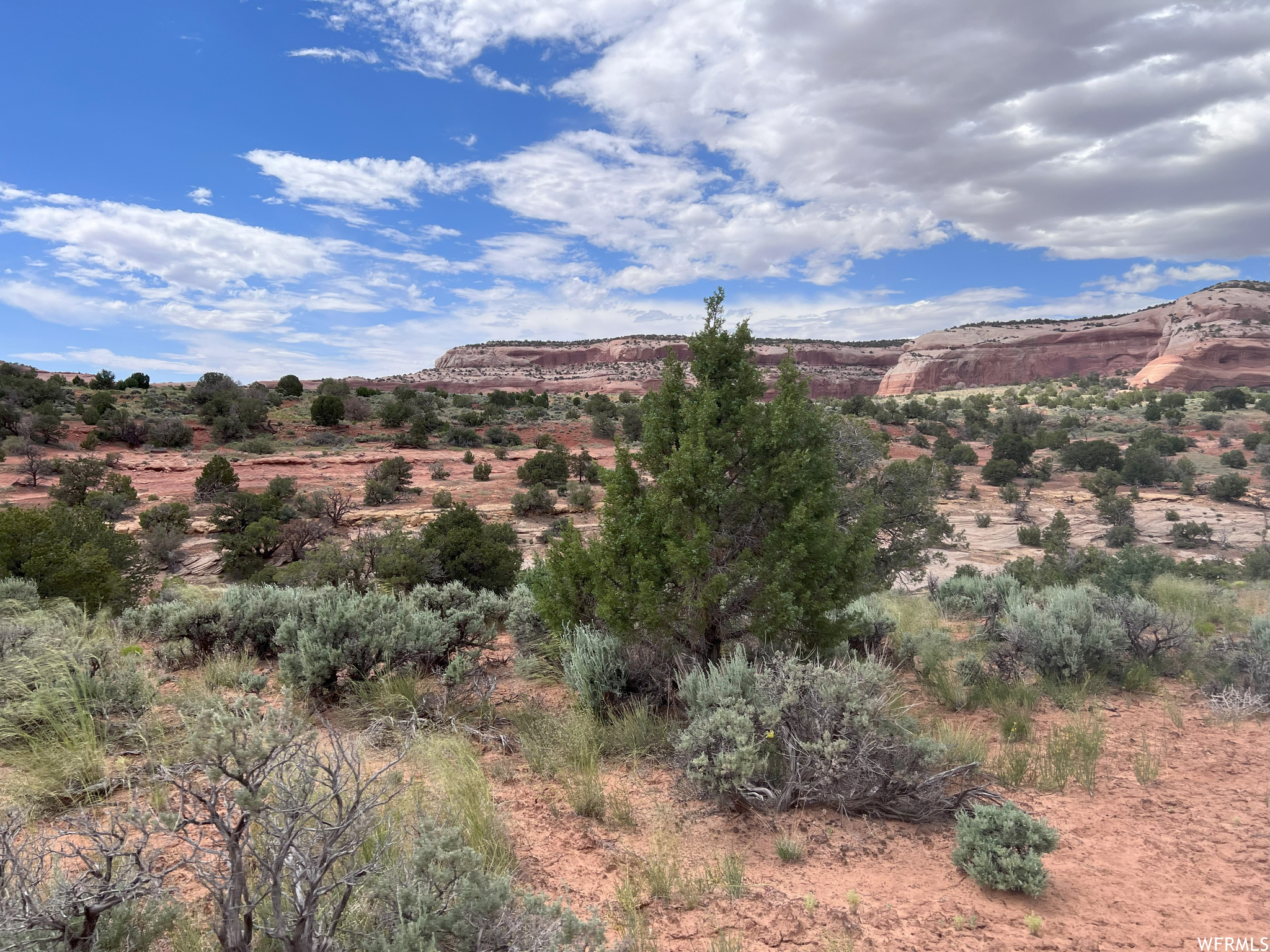 49 W RYAN #2, Moab, Utah 84532, ,Land,For sale,RYAN,1897370