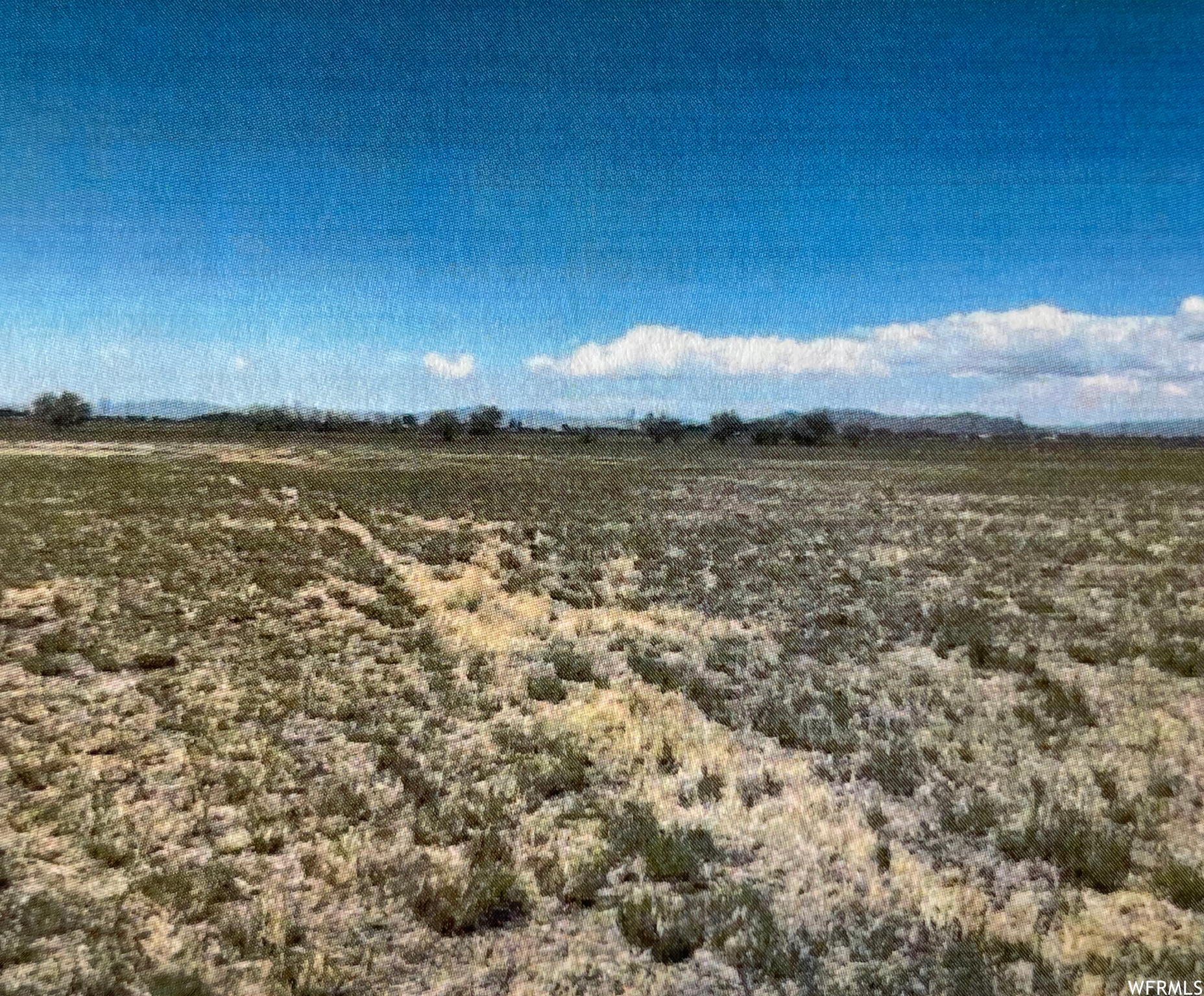 Pasture on South Tract looking west