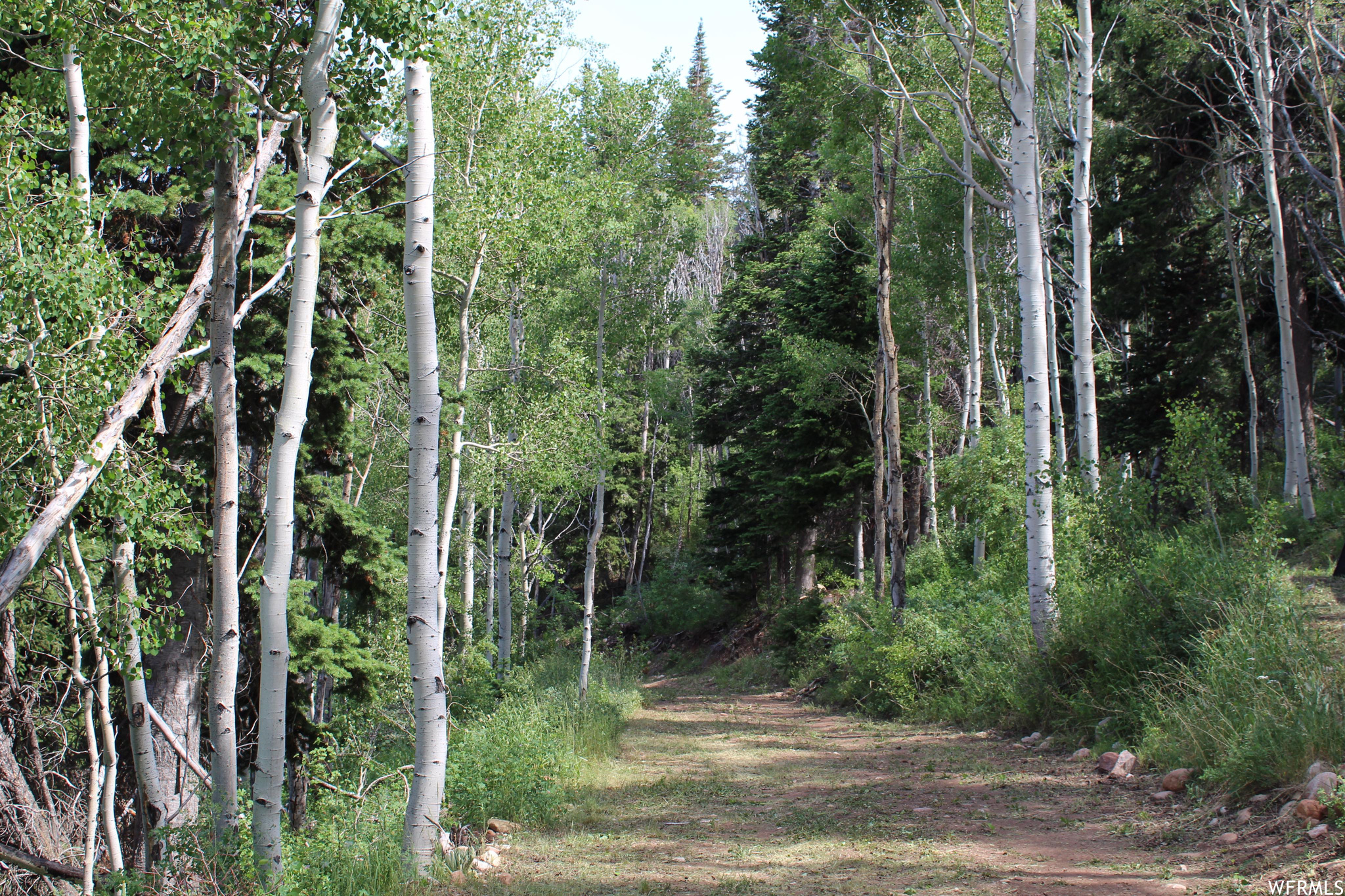 33 Tabby Hts Tabiona UT 84072 129,900