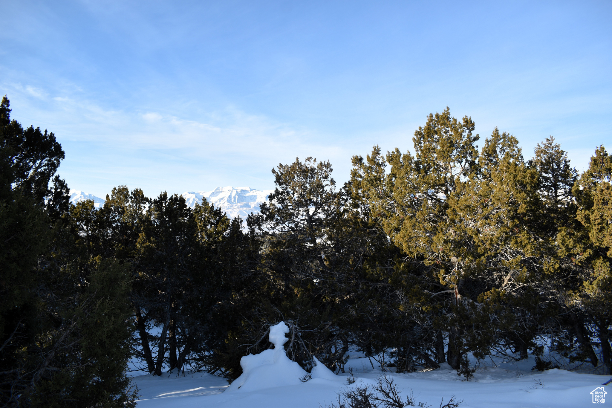 View of snowy landscape