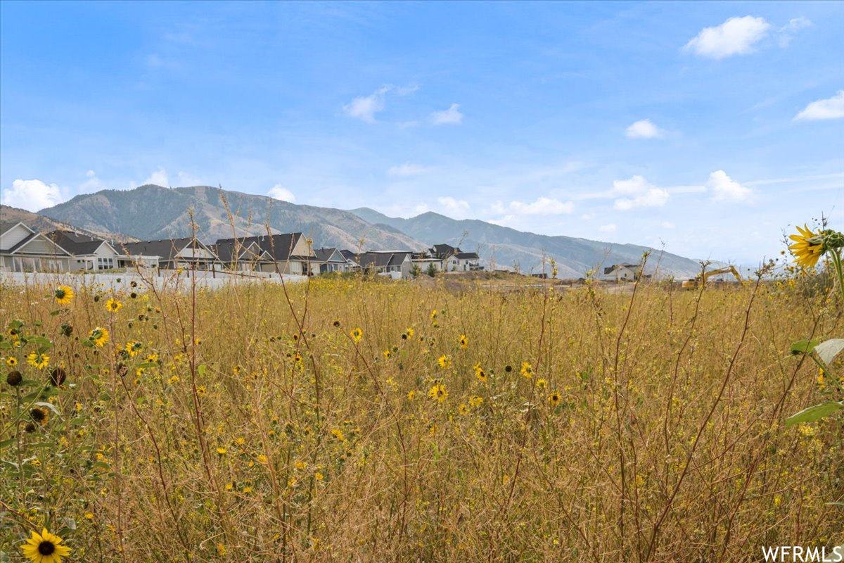 128 N 900 E #8, Hyde Park, Utah 84318, ,Land,For sale,900,1899231