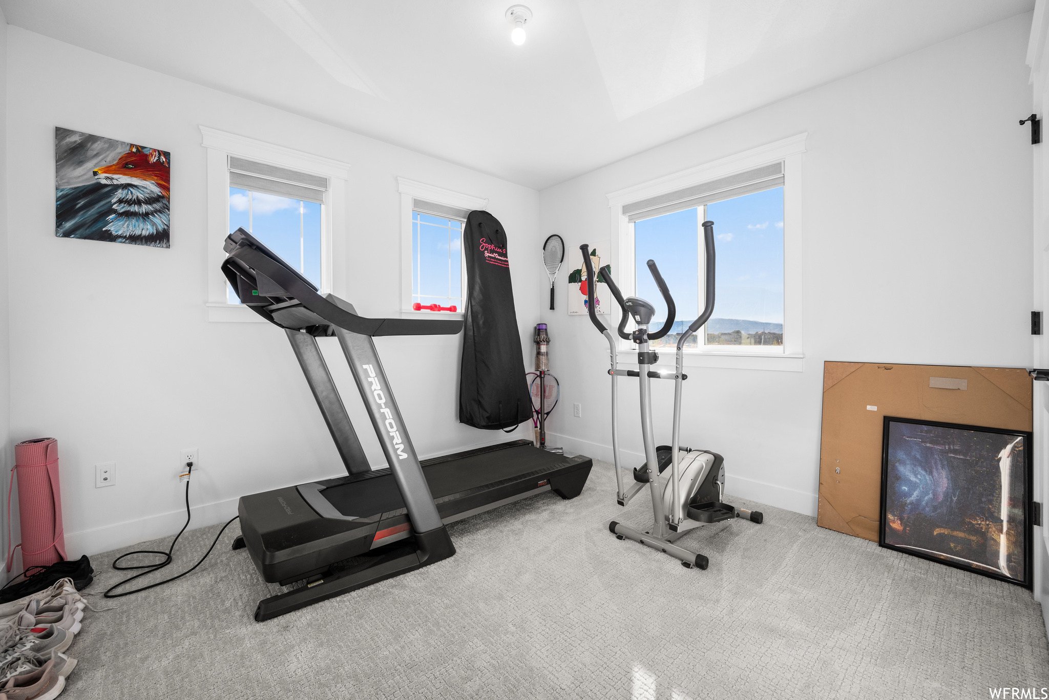 Bedroom/Exercise Room