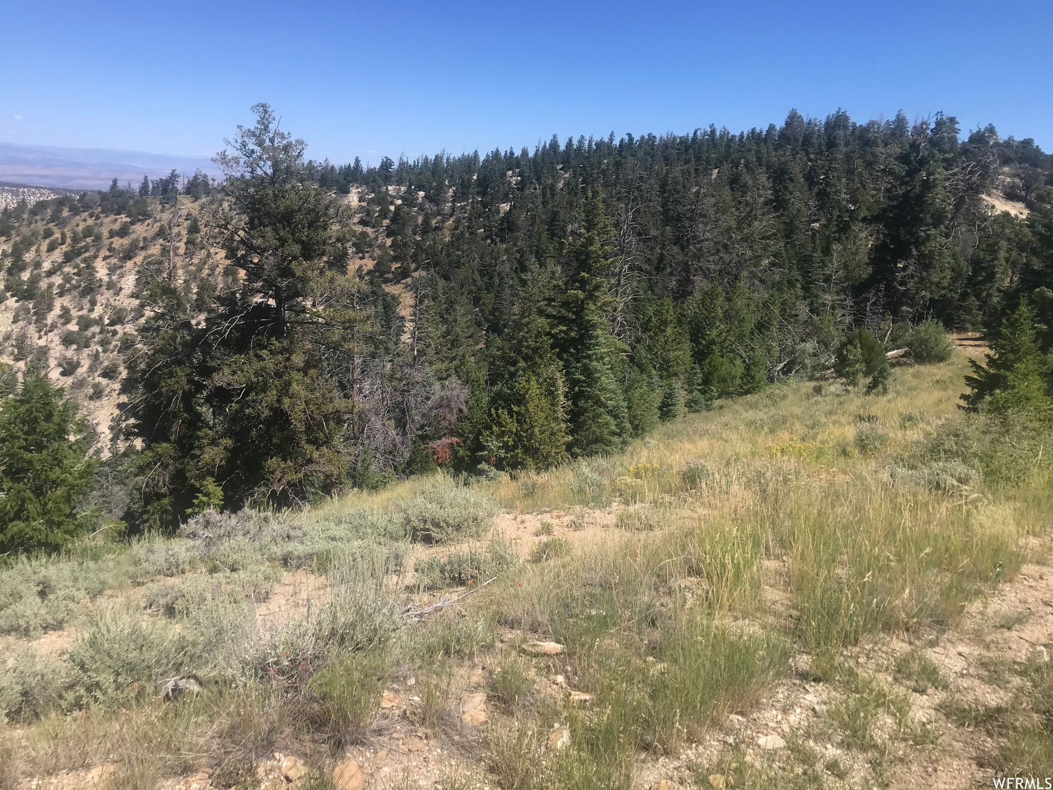 0, Duchesne, Utah 84021, ,Land,For sale,1899884