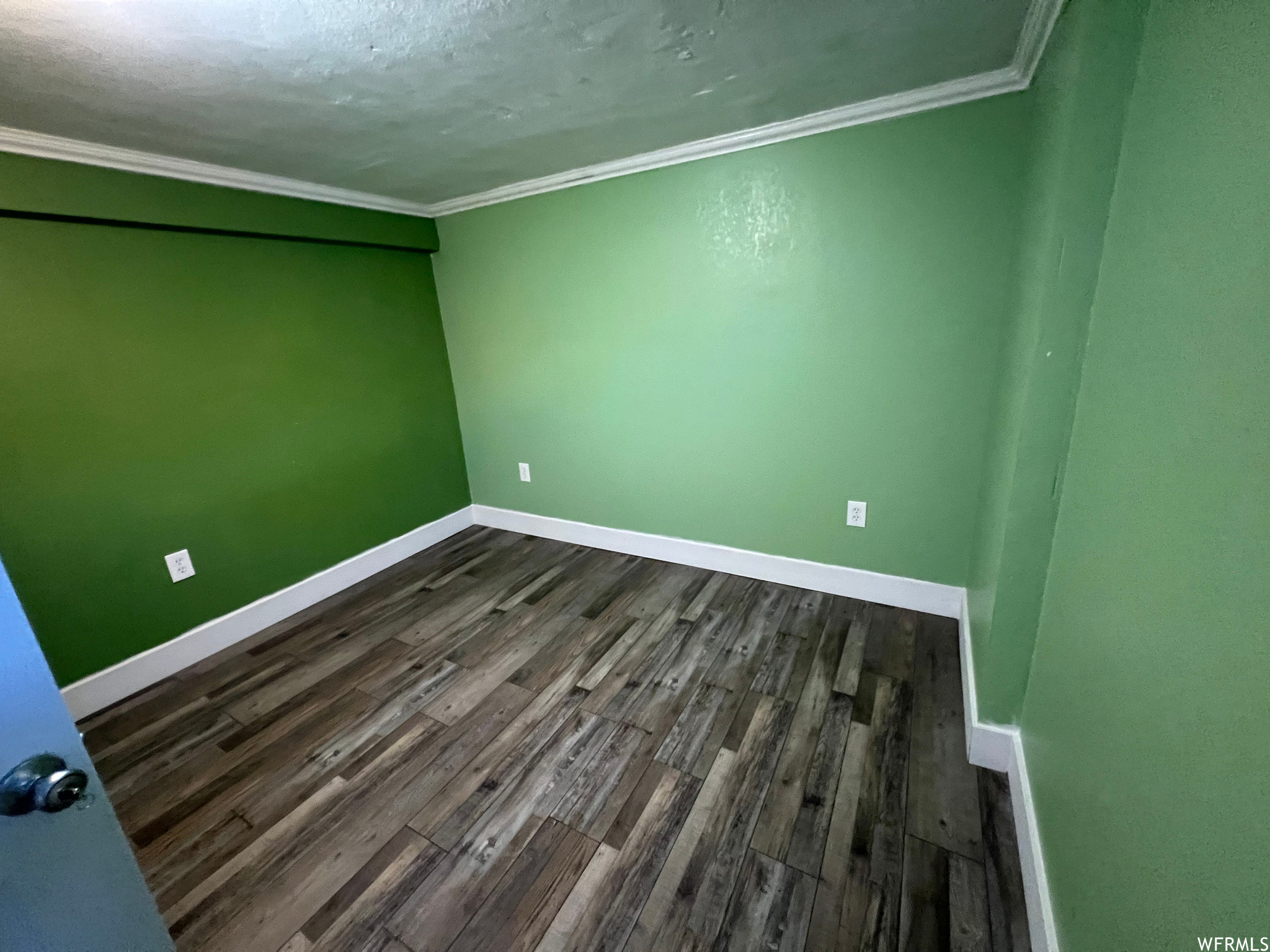 Spare room featuring a textured ceiling, crown molding, and dark Laminate flooring