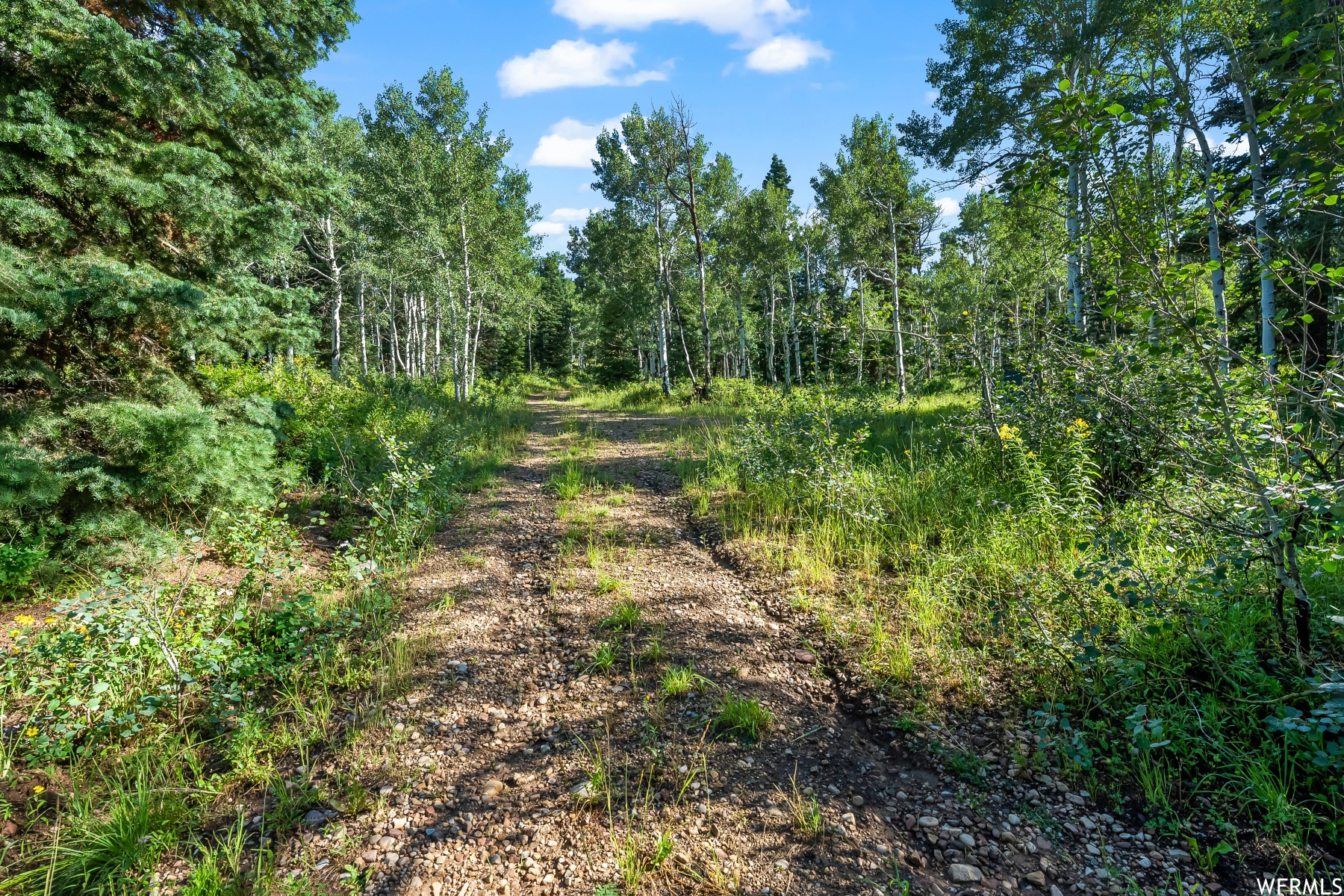 S S, Park City, Utah 84068, ,Land,For sale,1900499