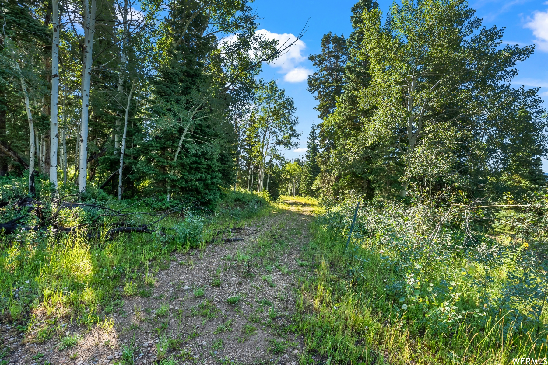 S S, Park City, Utah 84068, ,Land,For sale,1900499